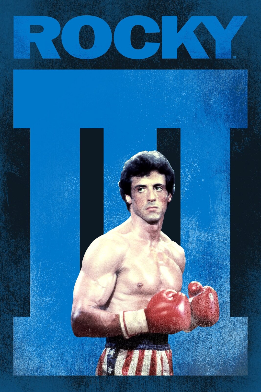 Plakat do filmu „Rocky III”. [czytaj: roki] Na granatowym tle umieszczono niebieski napis „ROCKY.” [czytaj: roki], a pod spodem cyfrę „III”, zajmującą prawie całą wysokość plakatu. Z przodu znajduje się mężczyzna, przedstawiony bokiem. Jest on odwrócony twarzą do oglądającego. Ma czarne, krótkie włosy, jasną skórę, zaróżowione policzki oraz wąskie usta. Patrzy w prawą stronę. Na jego czole obecne są zmarszczki. Jego żuchwa oraz kości policzkowe są wydatne. Mężczyzna ma na sobie czerwone rękawice bokserskie z białym materiałem powyżej nadgarstków oraz granatowo‑czerwono‑białe spodenki z białymi gwiazdkami na granatowym materiale. Jest szczupły i umięśniony. 