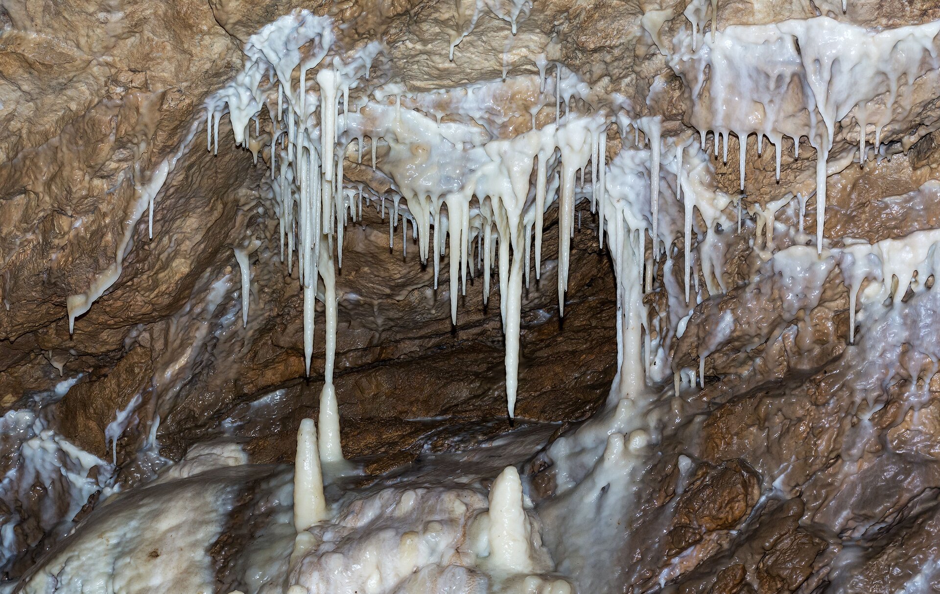 Na fotografii widoczne są białe, szpiczaste nacieki powstałe w brązowej jaskini. 