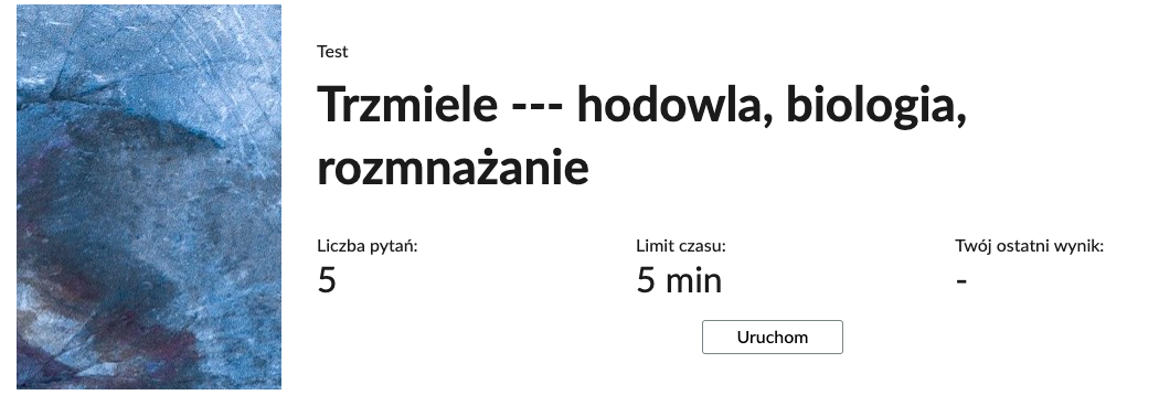 Grafika przedstawia przykładowy wygląd panelu testu. Składa się on z tytułu testu, informacji o liczbie pytań, czasie, w którym należy rozwiązać test, oraz o ostatnim uzyskanym wyniku. Poniżej widać przycisk Uruchom.