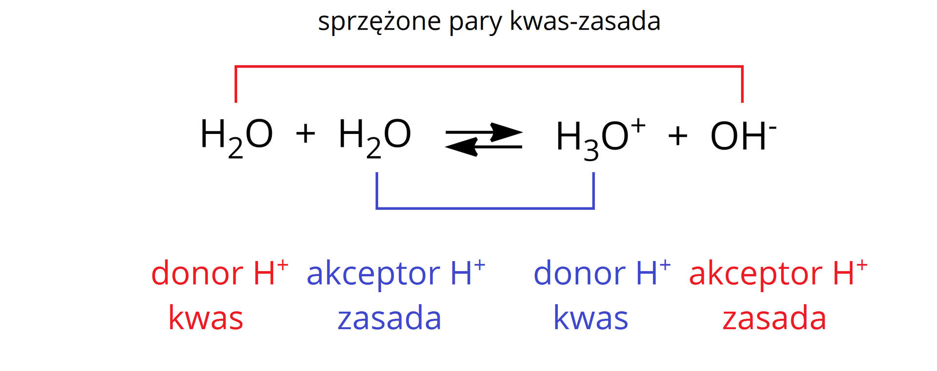 Ilustracja przedstawiające autoprotolizę wody. Po stronie substratów cząsteczka H2O dodać cząsteczkaH2O, strzałka w prawo, strzałka w lewo, za strzałkami jon hydroniowy H3O+ dodać anion hydroksylowy OH-. Pierwsza cząsteczka H2O oraz OH- stanowią sprzężoną parę kwas zasada, podobnie H3O+ iOH-.. Pierwsza cząsteczka H2O jest kwasem, czyli donorem H+, zaś druga pełni rolę akceptora H+. Z kolei po stronie produktów  H3O+ stanowi donor H+, a OH-</math jest akceptorem H+.
