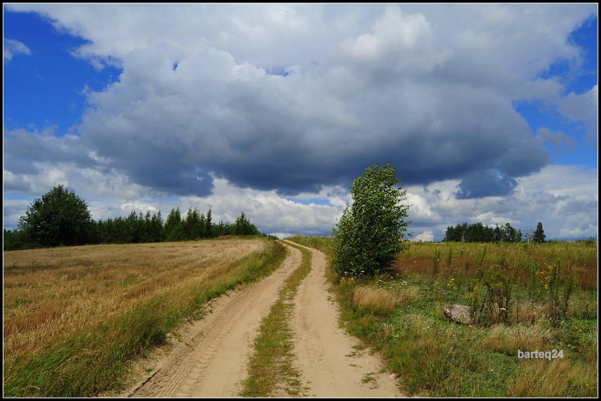 Fotografia przedstawia pola uprawne, pośrodku nich znajduje się droga polna, prowadząca wzdłuż pól. W oddali, po lewej i prawej stronie jest grupa drzew.