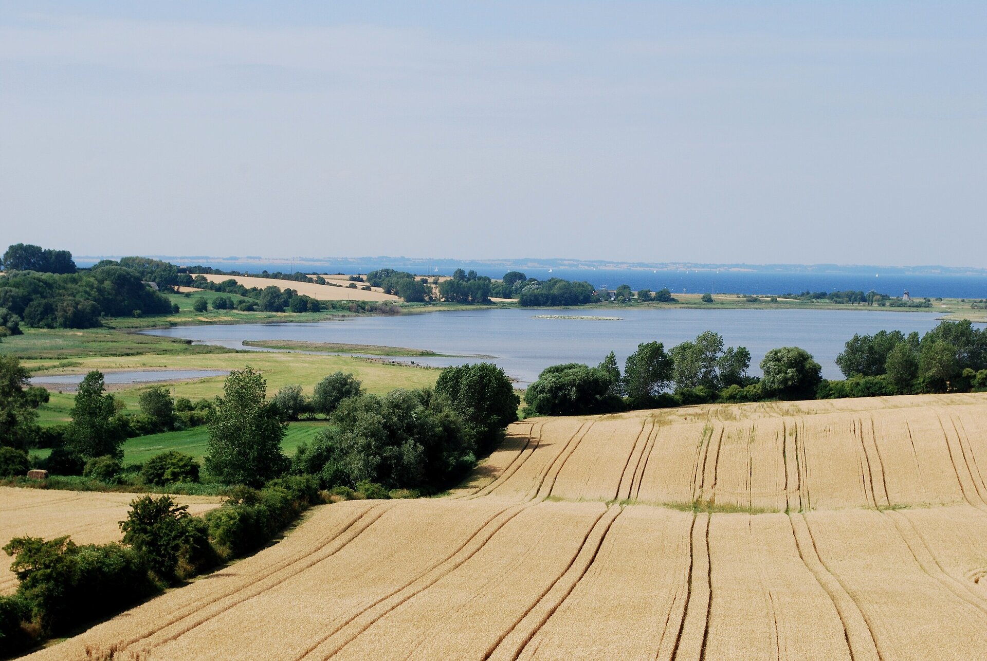 Na fotografii lekko pofalowany teren pokryty polami uprawnymi a na drugim planie drzewami dookoła zbiornika wodnego. W tle morze.