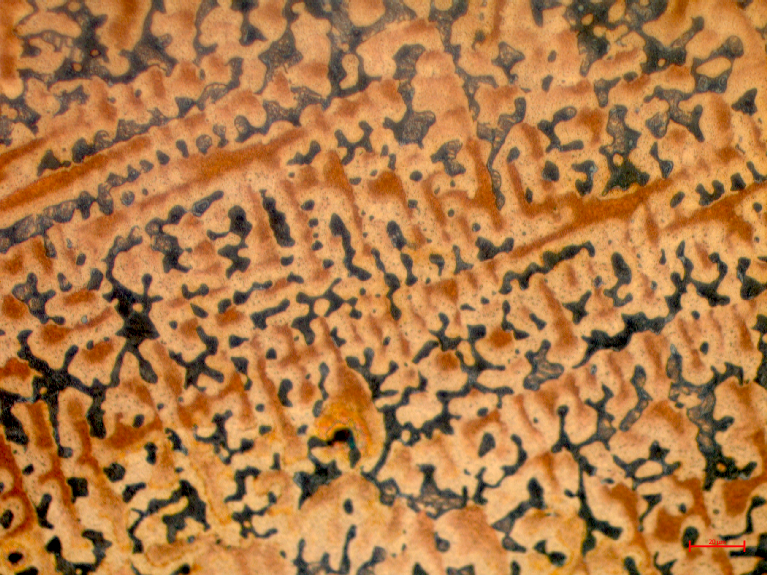 Mikrostruktura brązu cynowego CuSn8P
Jasny roztwór α cyny w miedzi na tle ciemnego eutektoidu α+δ - powiększenie 100x