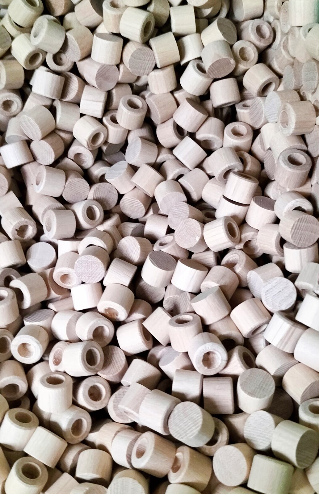 Zdjęcie przedstawia dyble grabowe. Widoczne są cylindryczne jasnobeżowe dyble z okrągłym zagłębieniem pośrodku.