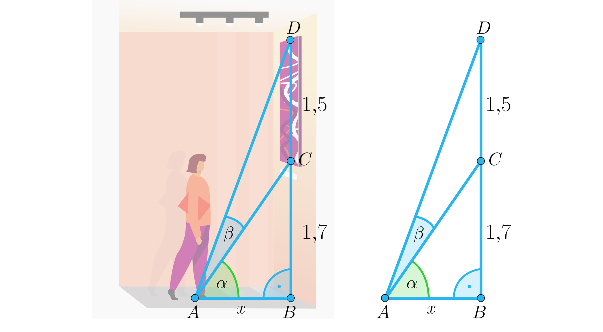 Ilustracja przedstawia kobietę stojącą w galerii sztuki przed obrazem wiszącym na ścianie. Na ilustrację naniesiono dwa trójkąty o wspólnym boku: A B C oraz A C D. Boki trójkąta prostokątnego A B C to: A B pozioma przyprostokątna opisana jako x określająca odległość kobiety od ściany. Odległość ta poprowadzona jest wzdłuż podłogi. Bok B C to pionowa przyprostokątna o długości 1,7 opisuje odległość od podłogi do dolnej krawędzi obrazu. Przekątna A C to odległość między stopami kobiety a dolną krawędzią obrazu. Przy wierzchołku B oznaczono kąt prosty. Trójkąt A C D ma następujące boki: ukośny bok A C będący odległością między stopami kobiety a dolną krawędzią obrazu, ukośny bok A D będący odległością między stopami kobiety a górną krawędzią obrazu oraz pionowy bok C D o długości 1,5 będący odległością między krawędziami obrazu. Na rysunku zaznaczono kąt ostry beta w trójkącie A C D przy wierzchołku A.