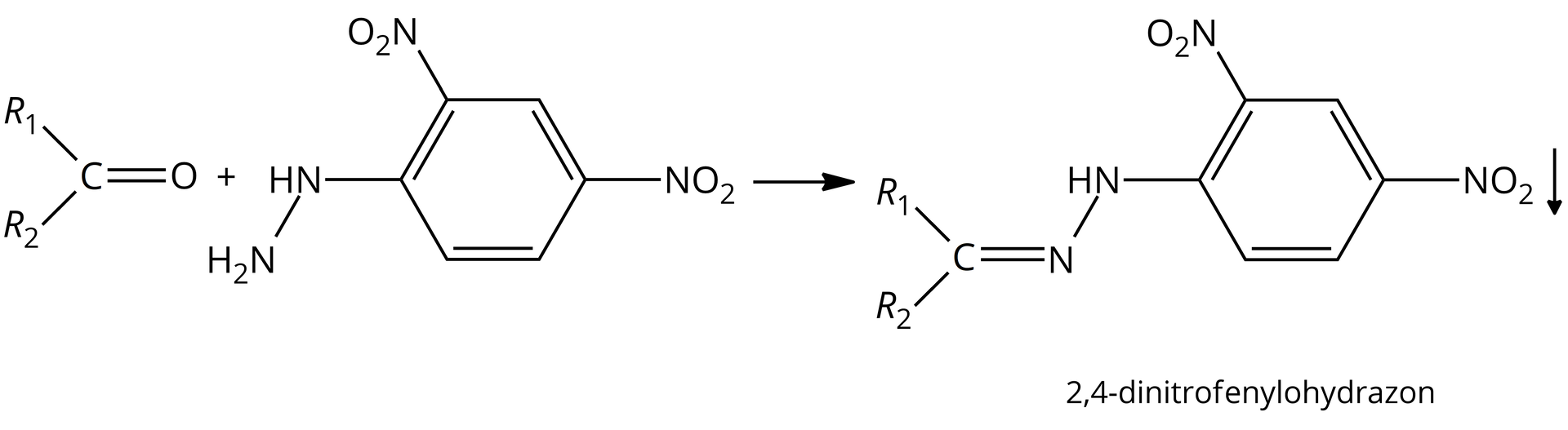 Ilustracja przedstawia równanie reakcji. Po lewej stronie: cząsteczka ketonu: atom węgla jest połączony wiązaniem podójnym z atomem tlenu i dwoma wiązaniami pojedynczymi z grupami R1 oraz R2. Po prawej stronie plus i druga cząsteczka: pierścień benzenu z dwiema grupami nitrowymi NO2 w położeniach 2 i 4 oraz w położeniu 1 z grupą NH‑NH2. Pozioma strzałka skierowana w prawo produkt:  pierścień benzenu z dwiema grupami nitrowymi NO2 w położeniach 1 i 3 oraz w położeniu 4 z grupą NH wiązanie pojedyncze, atom azotu, wiązanie podwójne, atom węgla z przyłączonymi dwiema grupami: R1 oraz R2. Po prawej stronie strzałka skierowana w dół, symbolizująca strącanie się osadu. Podpis pod cząsteczką: 2,4-dinitrofenylohydrazon.