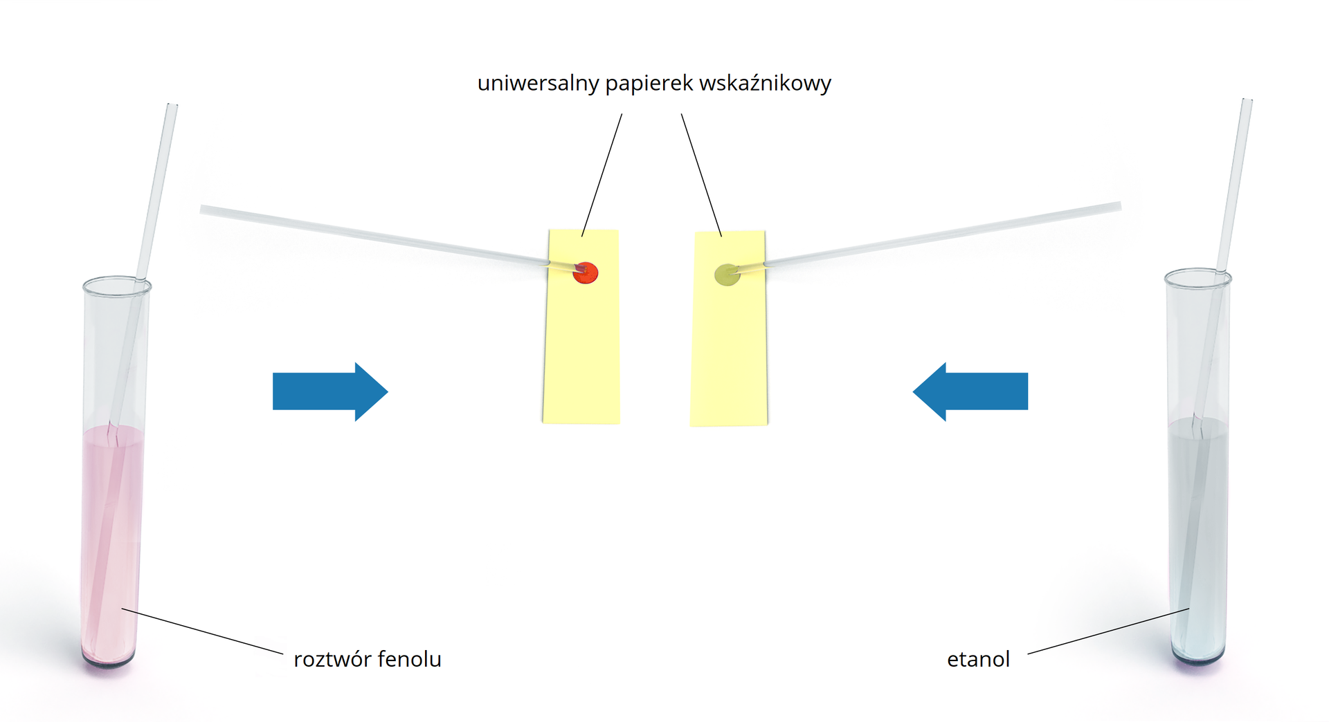 Na ilustracji są dwie probówki. Jedna z jasnoróżowym roztworem fenolu, druga z jasnoszarym roztworem etanolu. Po zbadaniu roztworów uniwersalnym papierkiem wskaźnikowym roztwór fenolu pozostawił czerwoną kropkę, etanol bezbarwną.   