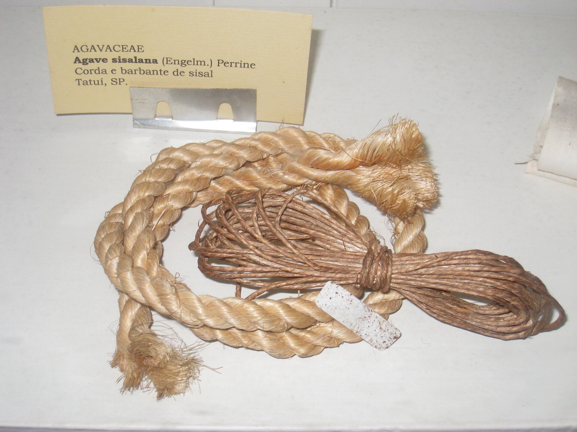 Na zdjęciu jest sznur z agawy. Jest pleciony, jeden sznur jest stosunkowo gruby, drugi cienki.  
