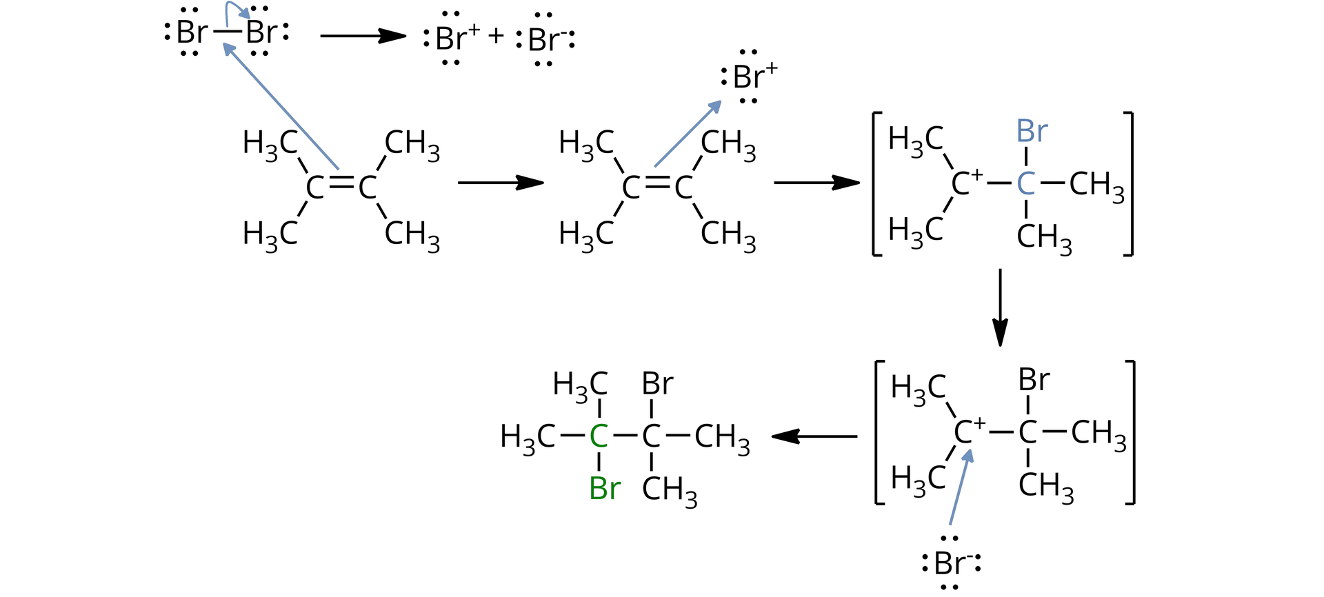 Schemat mechanizmu addycji cząsteczki bromu do alkenu. Cząsteczka 2,3‑dimetylobut‑2-enu z uwzględnioną stereochemią, od wiązania podwójnego odchodzą po dwie grupy metylowe do przodu, czarny klin = wiązanie przed płaszczyzną monitora, i po dwie do tyłu, przerywany klin = wiązanie za płaszczyzną monitora. Wiązanie podwójne atakuje atom bromu spolaryzowany dodatnio, następuje przeniesienie wspólnej pary elektronowej łączącej atomy bromu na nieatakowany atom spolaryzowany ujemnie. Odejście anionu bromkowego i utworzenie jonu bromoniowego o strukturze trójczłonowego pierścienia, który tworzą węgle C2, C3 oraz atom bromu obdarzony ładunkiem dodatnim, znajdujący się u góry na schemacie nad węglami C2 i C3, wiązania łączące atomy tworzące pierścień znajdują się w płaszczyźnie monitora. Atak anionu bromkowego od dołu monitora, anti, na węgiel C2 lub C3 (jednakowe prawdopodobieństwo), z jednoczesnym rozerwaniem pierścienia, powrót pary elektronowej na atom bromu obdarzony ładunkiem dodatnim, co prowadzi do otrzymania dibromoalkenu o stereochemii trans.