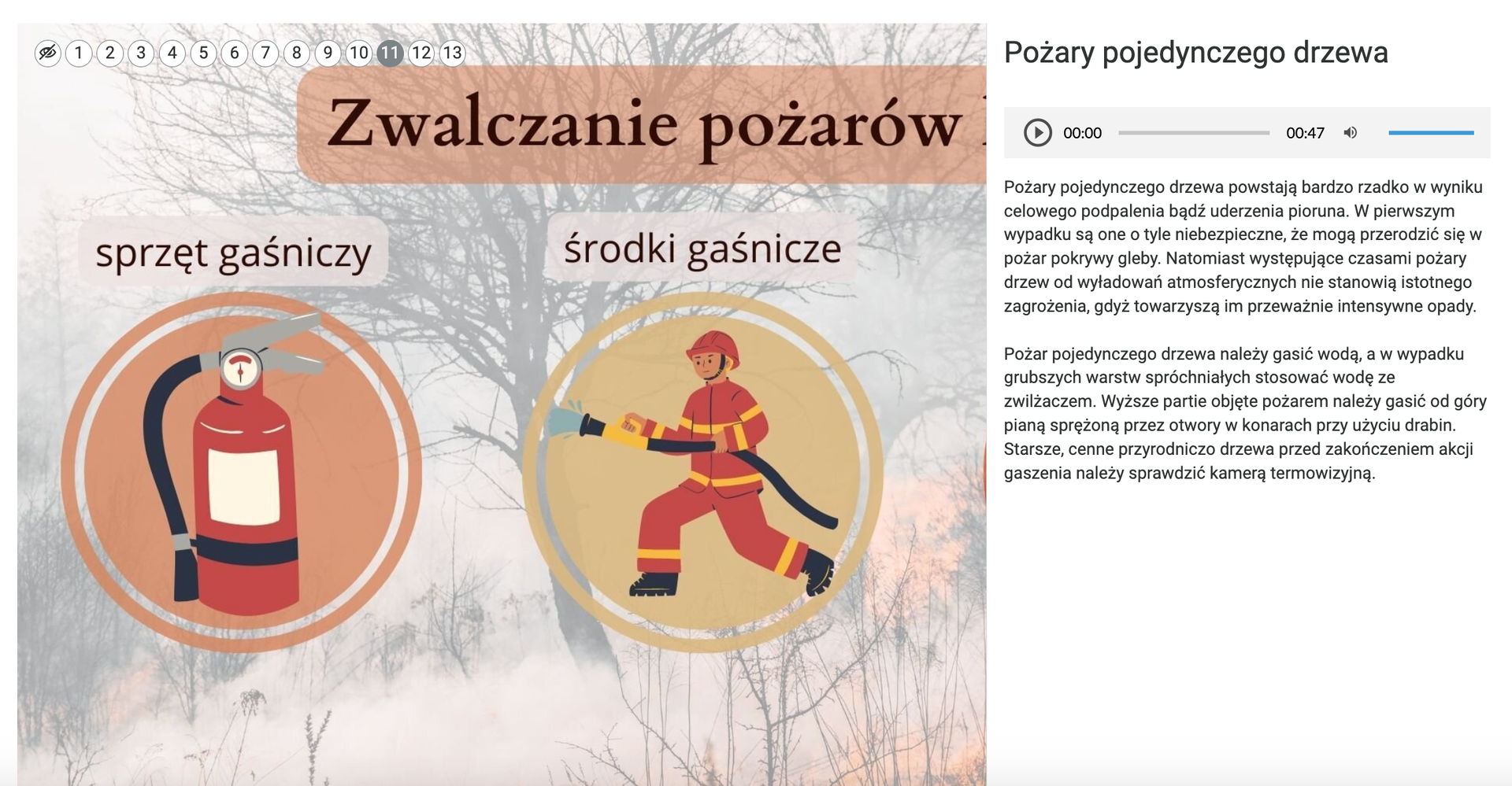 Grafika przedstawia planszę o tytule: Zwalczanie pożarów, na której znajdują się dwie grafiki w kółkach. Pierwsza przedstawia gaśnicę, nad nią znajduje się napis: sprzęt gaśniczy, druga przedstawia strażaka gaszącego pożar, nad nią znajduje się napis: środki gaśnicze. Po prawej stronie jest kolumna z tekstem opisującym pożary pojedynczego drzewa. Na górze planszy znajdują się punkty interaktywne.
