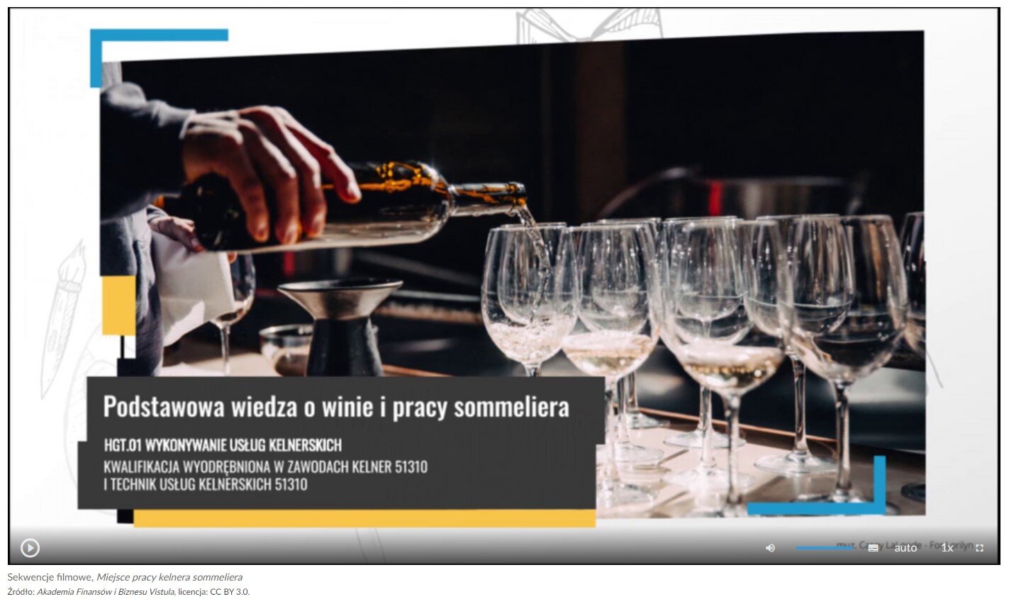 Grafika przedstawia widok ujęcia początkowego sekwencji filmowej zatytułowanej Miejsce pracy kelnera sommeliera. Na grafice widać pasek sterowania filmem, który zawiera przycisk startu film, suwak głośności filmu, przycisk włączenia napisów, przycisk wyboru jakości odtwarzanego filmu, przycisk wyboru prędkości odtwarzania filmu oraz przycisk włączenia pełnego ekranu. 