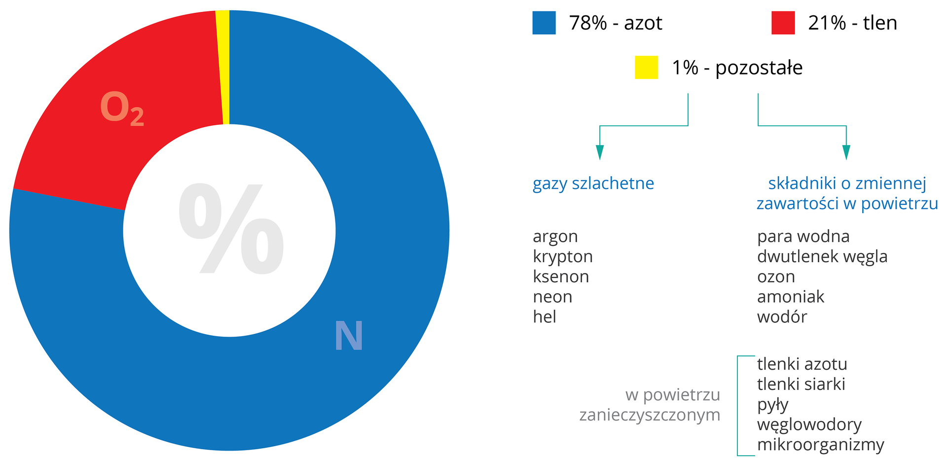 Grafika przedstawia wykres kołowy obrazujący główne składniki powietrza wyrażone w procentach objętościowych. Azot zaznaczony na niebiesko zajmuje &lt;math aria‑label="siedemdziesiąt osiem procent"&gt;78% powietrza, na czerwono tlen − &lt;math aria‑label="dwadzieścia jeden procent"&gt;21%, natomiast &lt;math aria‑label="jeden procent"&gt;1% zajmują pozostałe składniki powietrza zaznaczone na kolor żółty, które dzielą się na gazy szlachetne: argon, krypton, ksenon, neon i hel oraz na składniki o zmiennej zawartości w powietrzu: para wodna, dwutlenek węgla, ozon, amoniak, wodór, oraz z wyszczególnieniem w powietrzu zanieczyszczonym: tlenki azotu, tlenki siarki, pyły, węglowodory i mikroorganizmy.