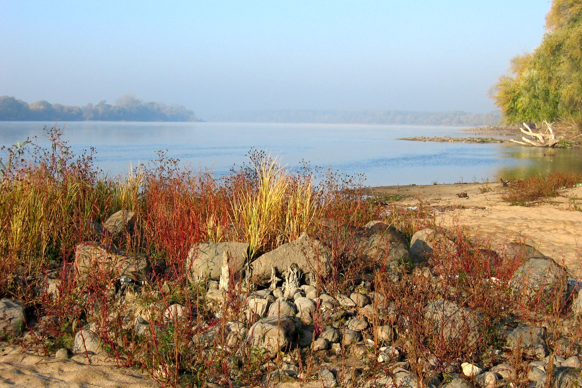 Fotografia prezentuje dolny bieg rzeki – koryto rzeczne jest szerokie, widoczne są piaszczyste łachy na rzece.