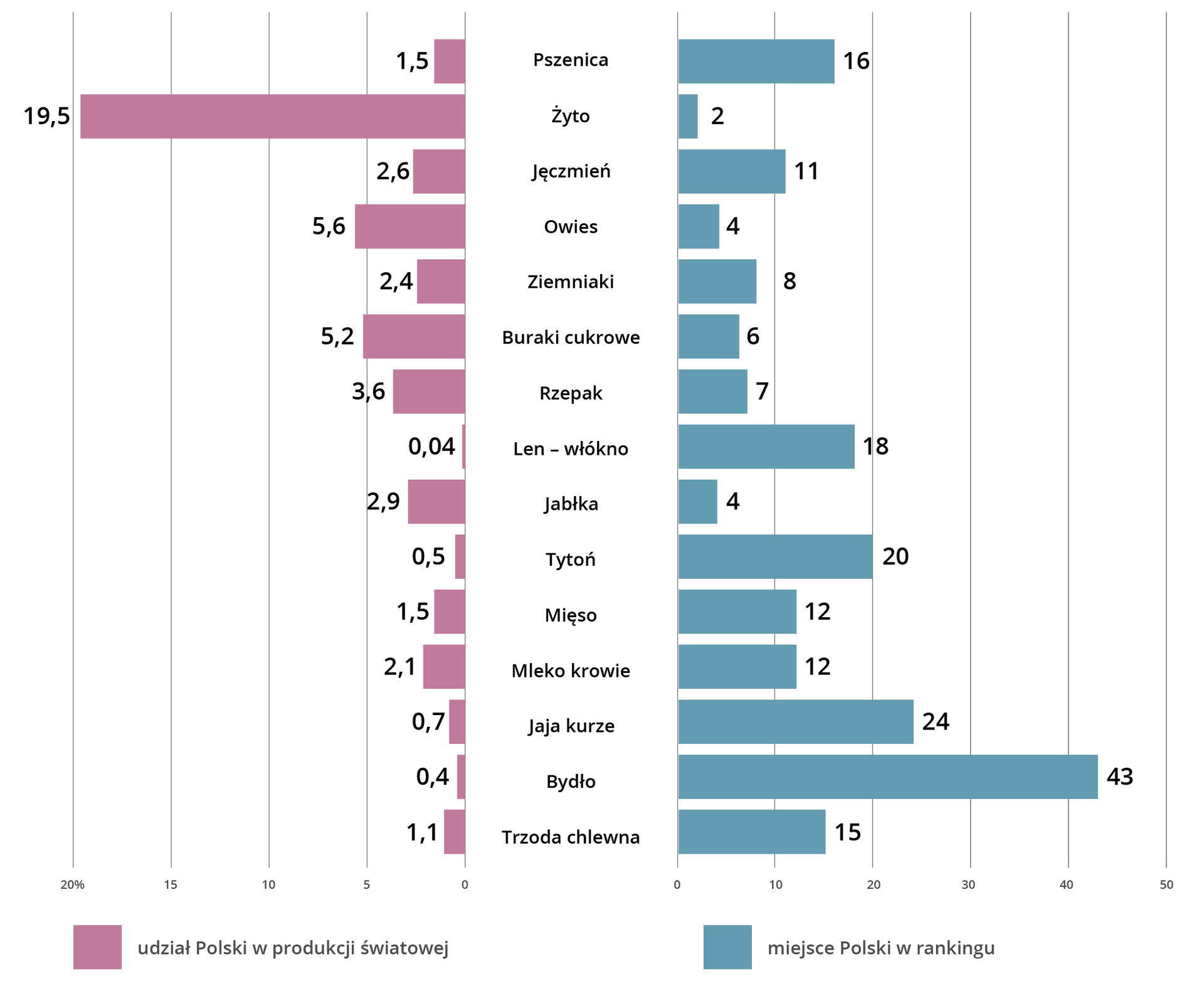 Wykres przedstawia udział i miejsce Polski w produkcji niektórych artykułów rolnych w świecie w 2017 roku. Dane przedstawiają się następująco: pszenica - udział Polski w produkcji światowej 1,5%, miejsce Polski w rankingu 16; żyto - udział Polski w produkcji światowej 19,5%, miejsce Polski w rankingu 2; jęczmień: udział Polski w produkcji światowej 2,6%, miejsce w rankingu 11; owies - udział Polski w produkcji światowej 2,6%, miejsce Polski w rankingu 4; ziemniaki: udział Polski w produkcji światowej 2,4%, miejsce Polski w rankingu 8; buraki cukrowe - udział Polski w produkcji światowej 5,2%, miejsce w rankingu 6; rzepak - udział Polski w produkcji światowej 3,6%, miejsce Polski w rankingu 7; len - włókno: udział Polski w produkcji światowej 0,04%, miejsce Polski w rankingu 18; jabłka: udział Polski w produkcji światowej 2,9%, miejsce Polski w rankingu 4; tytoń - udział Polski w produkcji światowej 0,5%, miejsce Polski w rankingu 20; mięso - udział Polski w produkcji światowej 1,5%, miejsce Polski w rankingu 12; mleko krowie - udział Polski w produkcji światowej 2,1%, miejsce Polski w rankingu 12; jaja kurze - udział Polski w produkcji światowej 0,7%, miejsce Polski w rankingu 24; bydło - udział Polski w produkcji światowej 0,4%, miejsce Polski w rankingu 43; trzoda chlewna - udział Polski w produkcji światowej 1,1%, miejsce Polski w rankingu 15.