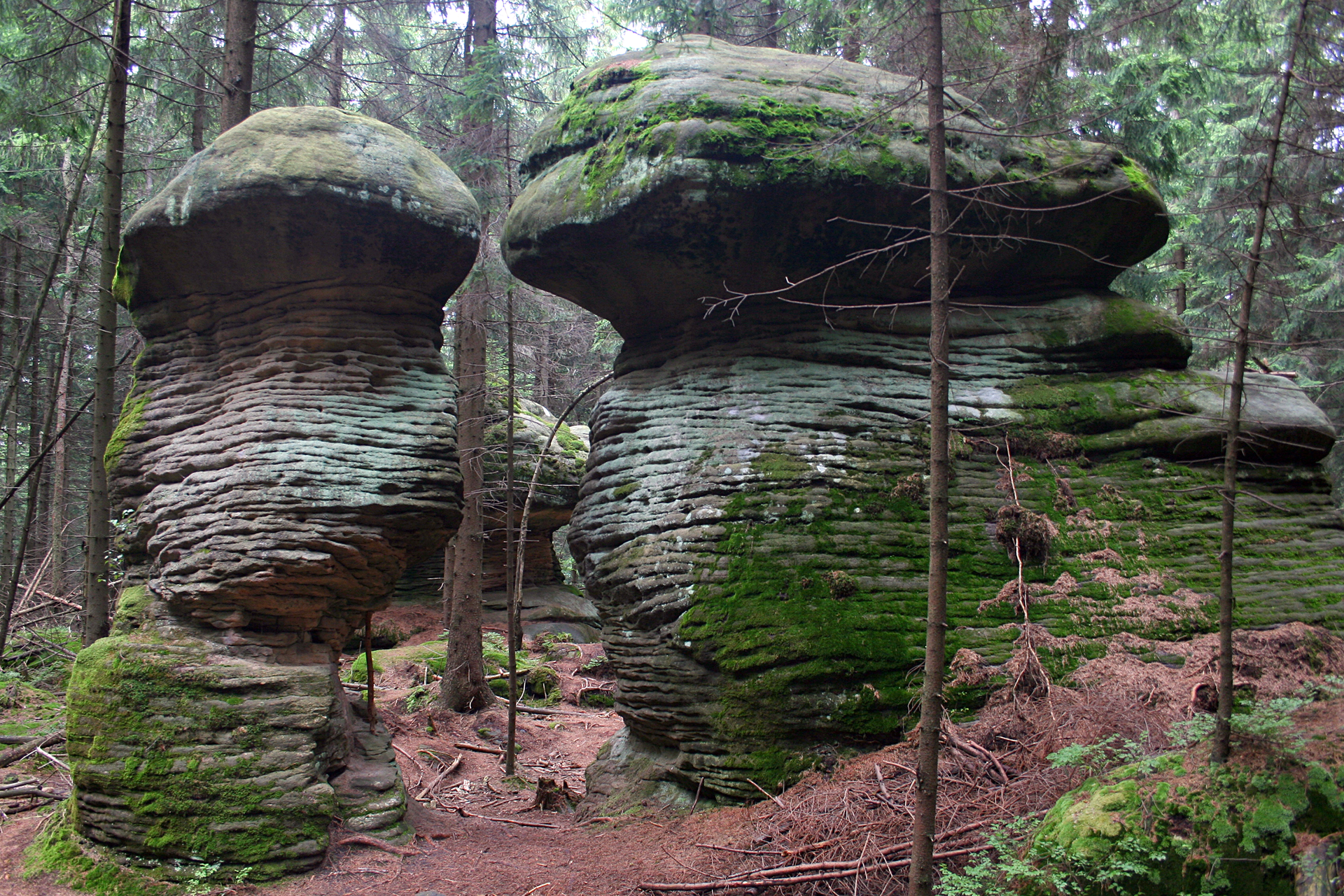 Fotografia prezentuje dwie stojące obok siebie skały kształtem przypominające grzyby, będące skutkiem erozji eolicznej.