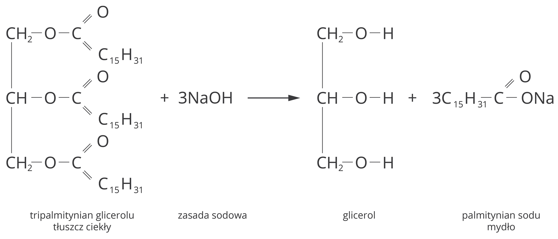 Schemat przedstawia reakcję zmydlania tłuszczów. Tripalmitynian glicerolu reaguje z wodorotlenkiem sodu. Produktami reakcji są glicerol oraz palmitynian sodu, będący mydłem. Zapis wzorami strukturalnymi. Tripalmitynian glicerolu, będącym tłuszczem stałym, CH indeks dolny dwa koniec indeksu dolnego, pojedyncze pionowe wiązanie, CH, pojedyncze pionowe wiązanie, CH indeks dolny dwa. Od każdego atomu węgla odchodzi kolejno wiązanie pojedyncze, atom tlenu, następne wiązanie pojedyncze, atom węgla. Od atomu węgla odchodzą jedno wiązanie podwójne, łączące go z atomem tlenu oraz jedno pojedyncze do grupy C indeks dolny piętnaście koniec indeksu H indeks dolny trzydzieści jeden koniec indeksu. Dodać trzy cząsteczki wodorotlenku sodu &lt;math aria‑label="N a O H"&gt;NaOH. Strzałka w prawo, za strzałką cząsteczka glicerolu o wzorze CH indeks dolny dwa koniec indeksu dolnego, pionowe pojedyncze wiązanie, CH, pionowe pojedyncze wiązanie, CH indeks dolny dwa. Od atomów węgla odchodzą kolejno wiązania pojedyncze, atom tlenu, wiązanie pojedyncze atom wodoru H. Dodać trzy cząsteczki palmitynianu sodu o wzorze C indeks dolny piętnaście koniec indeksu dolnego H indeks dolny trzydzieści jeden koniec indeksu dolnego. Wiązanie pojedyncze atom węgla C, od atom węgla poprowadzono wiązanie podwójne do atomu tlenu, oraz wiązani pojedyncze do grupy &lt;math aria‑label="O N a"&gt;ONa.