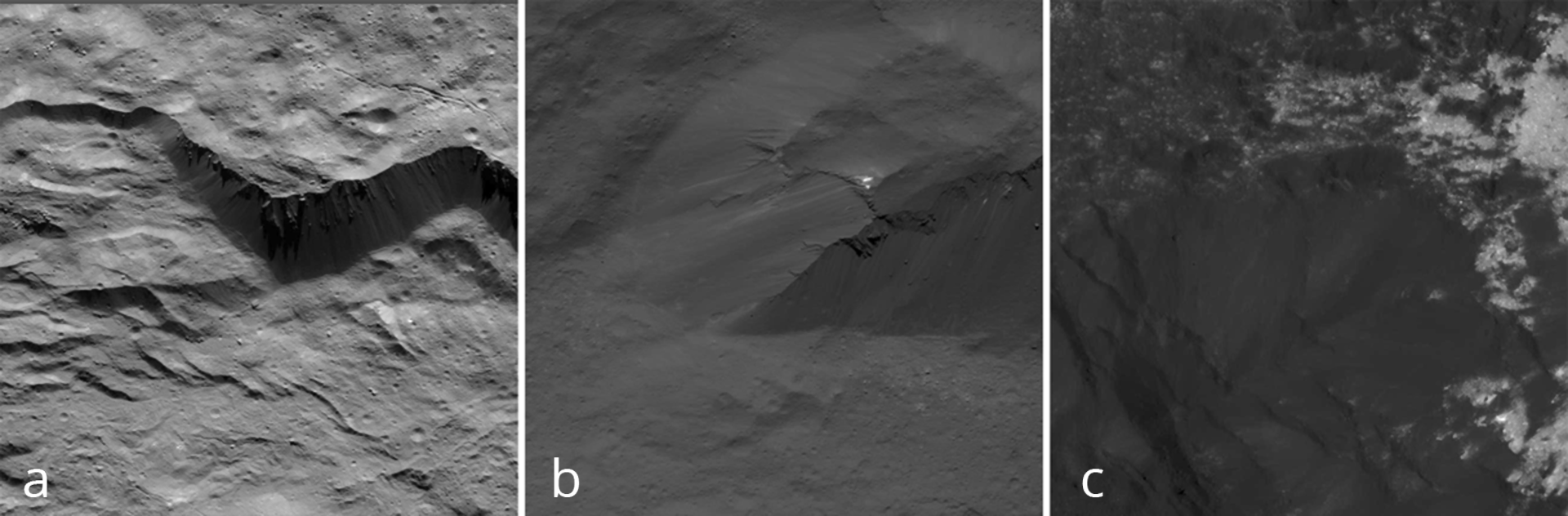 Rys. 3. Zdjęcia poglądowe przedstawiają wykonane z różnych odległości ujęcia krateru Occator znajdującego się na planecie Ceres. Zdjęcia ułożone są obok siebie w kolejności od lewej: 3a, zdjęcie 3b – pośrodku oraz zdjęcie 3c – po prawej stronie. Na zdjęciu 3a. widoczne są skutki osuwania się części materii ze stromych ścian krateru. Widoczny jest uskok o dość ostrej krawędzi. Poniżej osuwiska widać zacieki spowodowane prawdopodobnie przesuwaniem się pyłów i uwodnionych minerałów z powierzchni planety karłowatej. Zdjęcie 3b. pokazuje skarpę znajdującą się w środku krateru Occator (zdjęcie wykonano z odległości około 42 km). Niektóre kratery, w szczególności Occator, charakteryzują się jasnymi rejonami (ang. bright spots). Ich pochodzenie jest nieznane. Wyróżniają się dużym odbiciem światła, dlatego są tak widoczne. Dokładne badania spektroskopowe pokazują duże ilości węglanu potasu oraz mniejsze ilości chlorku amonu i wodorowęglanu amonu. Prawdopodobnie materiał ten wskutek wewnętrznych zmian pod plastyczną skorupą po uderzeniu został wypiętrzony na powierzchnię. Wewnątrz niektórych kraterów widać mniejsze struktury przypominające wydmy, fale pyłów. Układają się one w równoległe pasy różnych długości. Tego typu wydmy w kraterze Occator prezentuje zdjęcie 3c.