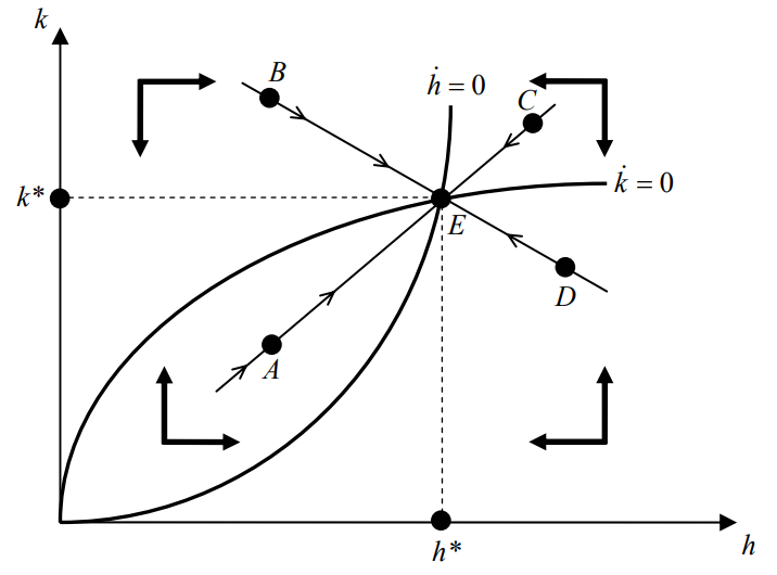 Wykres przedstawia rozszerzony model Solowa (model Mankiwa-Romera-Weila) zaliczający się do neoklasycznej teorii wzrostu. Oś rzędnych została oznaczona literą „k”, która oznacza kapitał fizyczny. Oś odciętych została oznaczona literą „h”, która oznacza kapitał ludzki. W procesie ustalenia zasobu kapitału fizycznego i ludzkiego w stanie równowagi długookresowej na osi „k” oznaczono punkt „k*” zaś na osi „h” punkt „h*”. W celu znalezienia równań opisujących dynamikę gospodarki zróżniczkowano względem czasu definicje „k” i „h”. Otrzymane wyniki przyrównano do 0, dzięki czemu udało się wyznaczyć na wykresie dwie krzywe: „ḱ=0” oraz „ḣ=0”. Pierwsza z nich jest wypukła, druga wklęsła. Na przecięciu tych krzywych (na wysokości zaznaczonych punktów „k*” oraz „h*” wyznaczony został punkt „E”, zwany stanem równowagi długookresowej. Na wykresie oznaczone zostały także punkty „A”, „B”, „C”, oraz „D” zwane punktami początkowymi, określone początkowym zasobem kapitału fizycznego i ludzkiego. Każdy z wyżej wymienionych punktów jest połączony linią prostą z punktem „E” a kierunek strzałki na linii wskazuje, że z każdego z tych punktów gospodarka podąża w kierunku równowagi długookresowej.