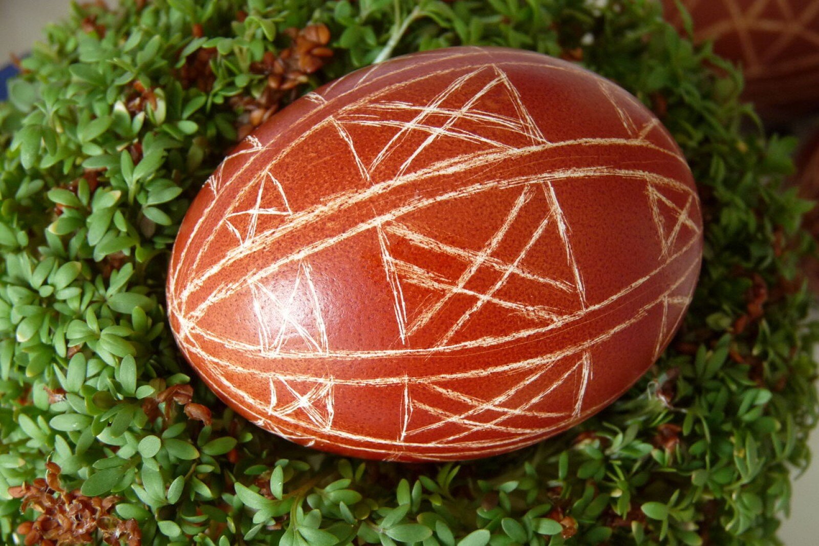 Zdjęcie przedstawia rzeżuchę, czyli zieloną roślinę o drobnych łodyżkach, którą sieje się zazwyczaj na Wielkanoc. Leży na niej ciemnopomarańczowa drapanka, czyli pisanka z wydrapanym wzorem.