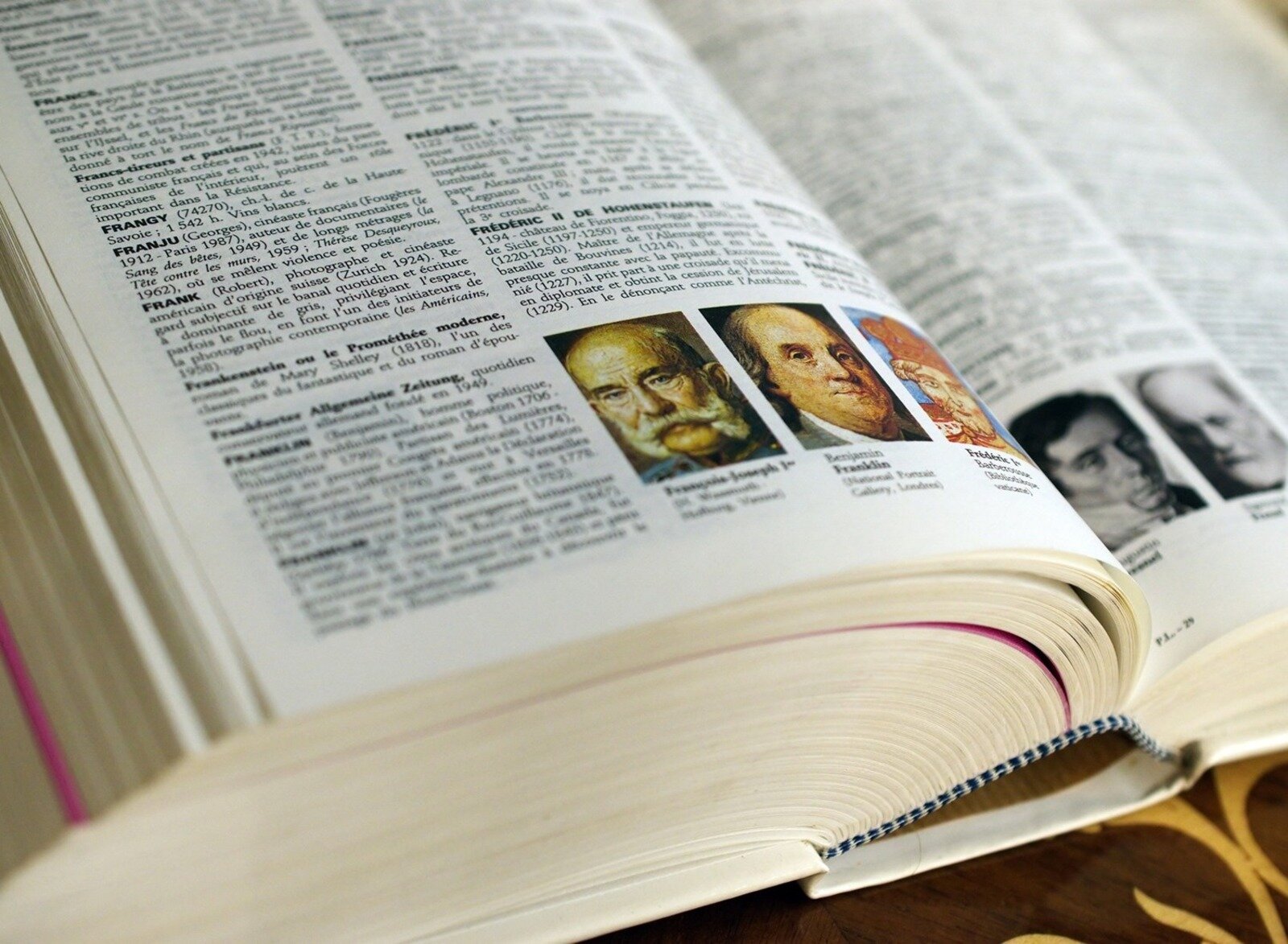 Zdjęcie przedstawia otwartą encyklopedię. Na lewej i prawej stronie książki widoczne są kolumny tekstu oraz kilka zdjęć. W kolumnach znajdują się krótkie akapity. Pierwsze słowo w każdym akapicie jest pogrubione.