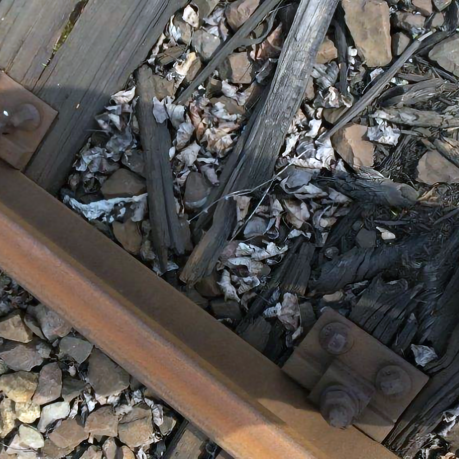 Ilustracja przedstawia tory kolejowe, na których znajdują się drewniane podkłady. Drewniane podkłady są zgnite, przez co podkłady są połamane..