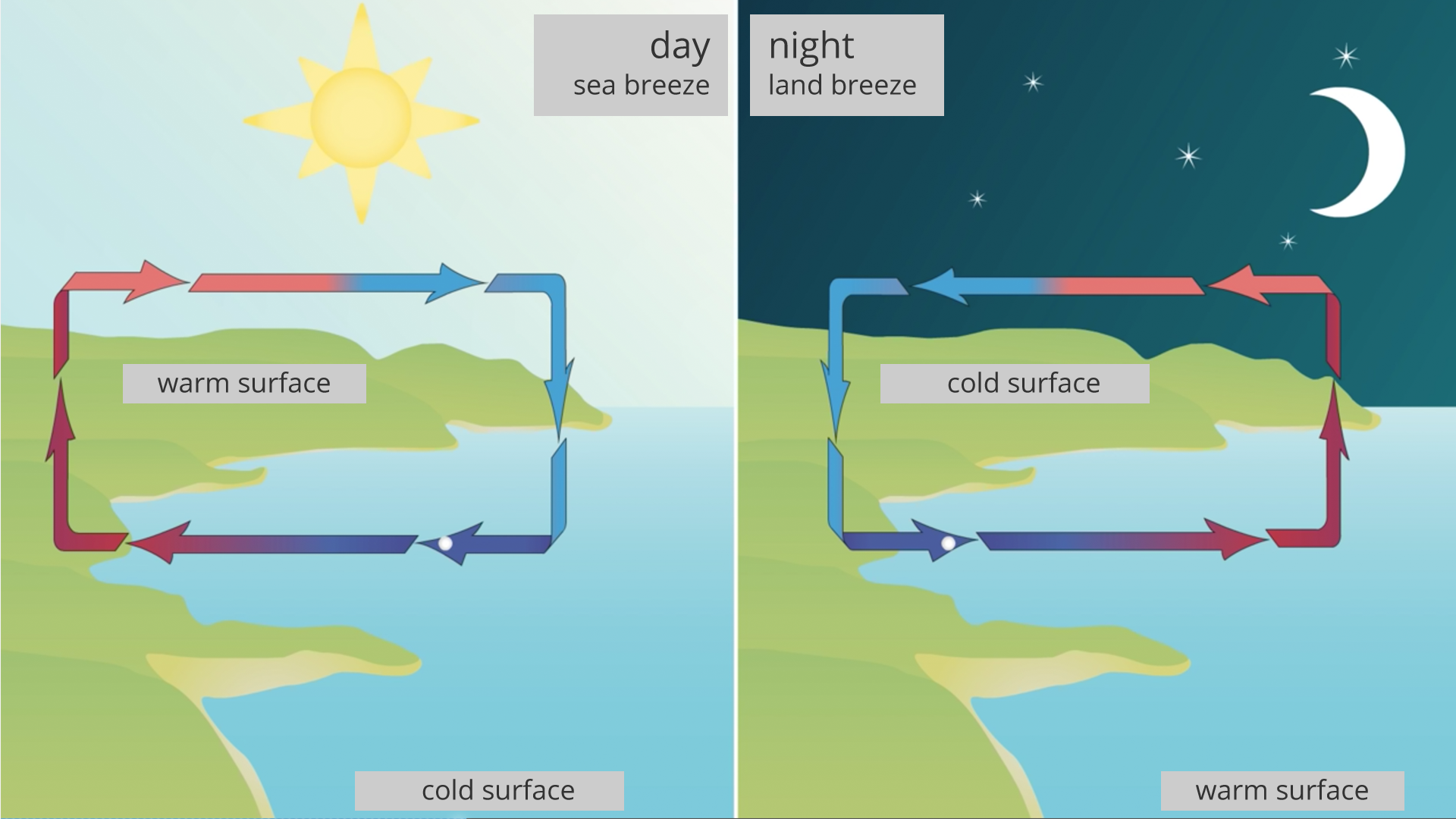 Ilustracja po lewej stronie opisana day, sea breeze, przedstawia morze opisane cold surface, ląd opisany warm surface i słońce na niebie. Na środku narysowane strzałki ułożone w prostokąt, koniec jednej strzałki jest początkiem innej. Strzałki na górnym boku prostokąta skierowane w prawo, w stronę morza. Strzałki nad wodą w kolorze niebieskim, na granicy lądu i morza niebiesko-czerwone, na lądzie czerwone. Ilustracja po prawej stronie opisana night, land breeze, przedstawia morze opisane warm surface, ląd opisany cold surface i księżyc na niebie. Na środku narysowane strzałki ułożone w prostokąt, koniec jednej strzałki jest początkiem innej. Strzałki na górnym boku prostokąta skierowane w lewo, w stronę lądu. Strzałki nad wodą w kolorze czerwonym, na granicy lądu i morza czerwono-niebieskie, na lądzie niebieskie.