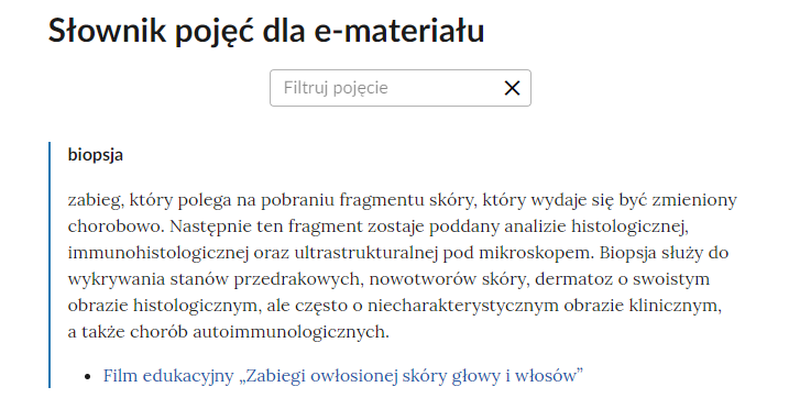 Widok na fragment słownika z polem filtracji pojęć