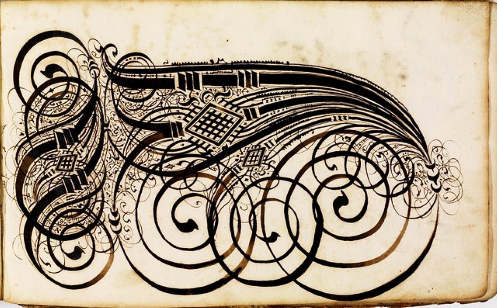 Ilustracja przedstawia kaligrafię w mistrzowskim wydaniu. Jest to rysunek różnej wielkości spirali połączonych ze sobą w dekoracyjną kompozycję. Spirale nakładają się na siebie, widoczne są wprawne i pewne pociągnięcia piórka. Równoległe i krzyżujące się zawijasy wyglądają jak loki ułożone przez dobrego fryzjera.