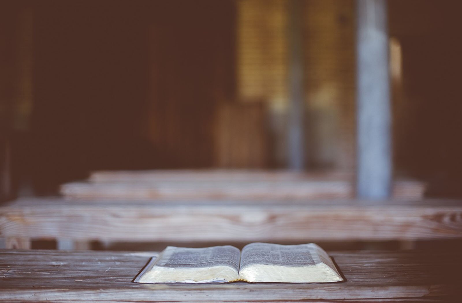 Zdjęcie przedstawia drewniane ławki ustawione jedna za drugą. Na pierwszej ławce widoczna jest otwarta książka.