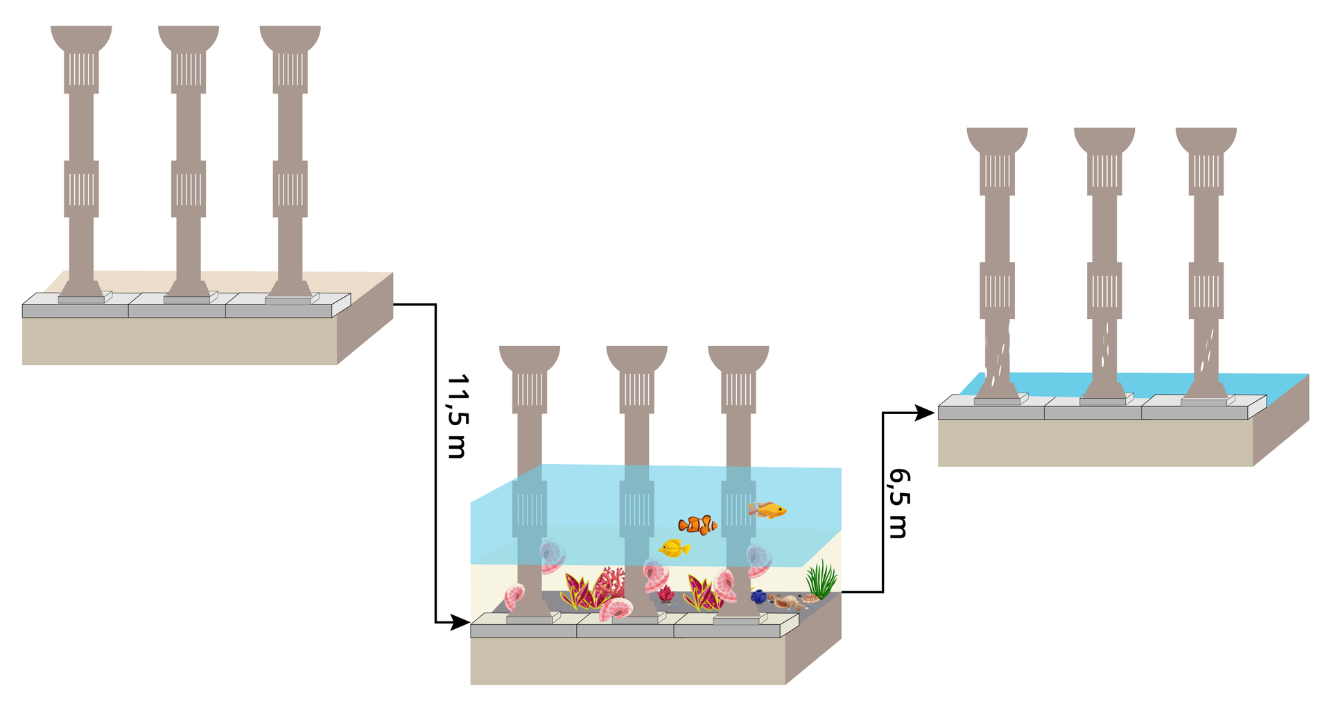 Grafika przedstawia zmianę położenia świątyni Serapisa. Na początku świątynia przedstawiona jako trzy kolumny na podeście znajdowała się na powierzchni ziemi. Następnie obniżyła się o 11,5 metra i znalazła pod wodą. Pomiędzy kolumnami pływają ryby a podesty pokrywa morska roślinność. Następnie podniosła się o 6,5 metra. Tylko podesty były zalane wodą.