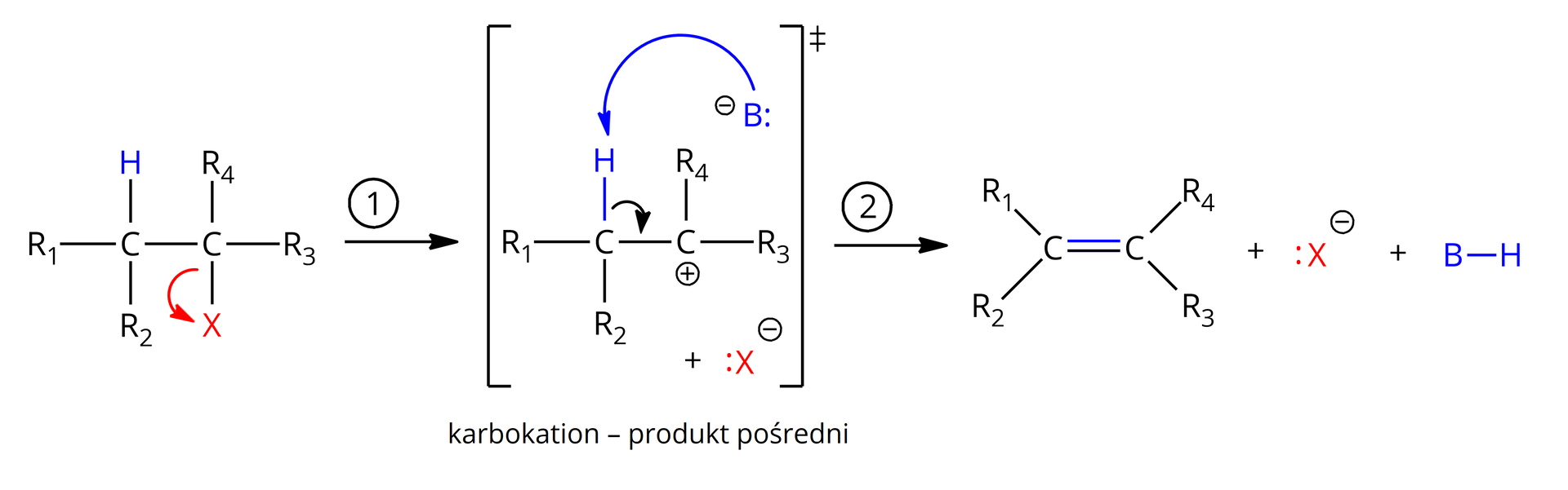 Ilustracja przedstawia schemat mechanizmu eliminacji E1. Cząsteczka halogenku alkilowego zbudowanego z dwóch połączonych za pomocą wiązania pojedynczego atomów węgla. Pierwszy z nich podstawiony jest grupami R1, R2 oraz atomem wodoru zaznaczonym na niebiesko. Drugi podstawiony jest grupami R3 i R4 oraz atomem halogenkowym X. Atomy H oraz X znajdują się po przeciwnych stronach płaszczyzny. Od wiązania łączącego drugi z atomów węgla z atomem X poprowadzono czerwoną, łukowatą strzałkę do atomu X. Strzałka w prawo, za strzałką karbokation zbudowany z dwóch połączonych za pomocą wiązania pojedynczego atomów węgla. Pierwszy z niech podstawiony jest grupami R1, R2 oraz atomem wodoru zaznaczonym na niebiesko. Drugi, obdarzony ładunkiem dodatnim, podstawiony jest grupami R3 i R4. Dodać anion X- z zaznaczoną wolną parą elektronową. Dodać zasadę B oznaczoną na niebiesko, posiadającą wolną parę elektronową symbolizowaną przez dwie kropki i obdarzoną ładunkiem ujemnym. Od wolnej pary elektronowej zasady poprowadzono niebieską, łukowatą strzałkę do atomu wodoru związanego z pierwszym atomem węgla cząsteczki halogenku. Z kolei od wiązania łączącego wspomniane atomy, to jest atom wodoru z atomem węgla, poprowadzono łukowatą strzałkę do wiązania pojedynczego łączącego dwa atomy węgla w cząsteczce. Strzałka w prawo, za strzałką cząsteczką alkenu zbudowanego z dwóch połączonych za pomocą wiązania podwójnego atomów węgla, z których pierwszy podstawiony jest grupami R1 i R2, zaś drugi grupami R3 i R4. Dodać anion X- z zaznaczoną wolną parą elektronową. Dodać cząsteczkę uprotonowanej zasady BH.
