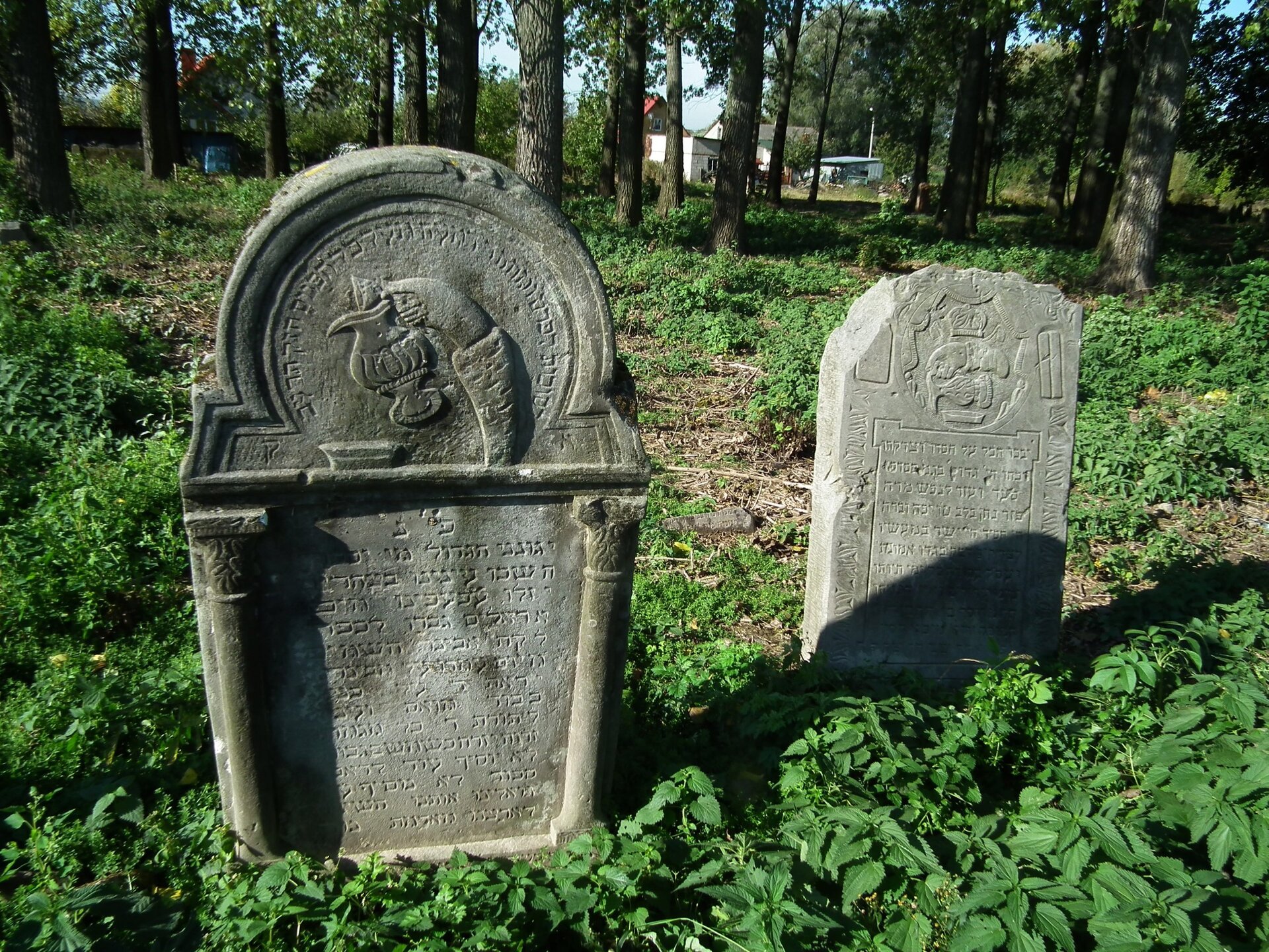 Na zdjęciu kamienne tablice wbite w ziemię. Na tablicach wyrzeźbione napisy w jidysz. W tle widoczne pnie drzew. Dookoła zielona roślinność. 