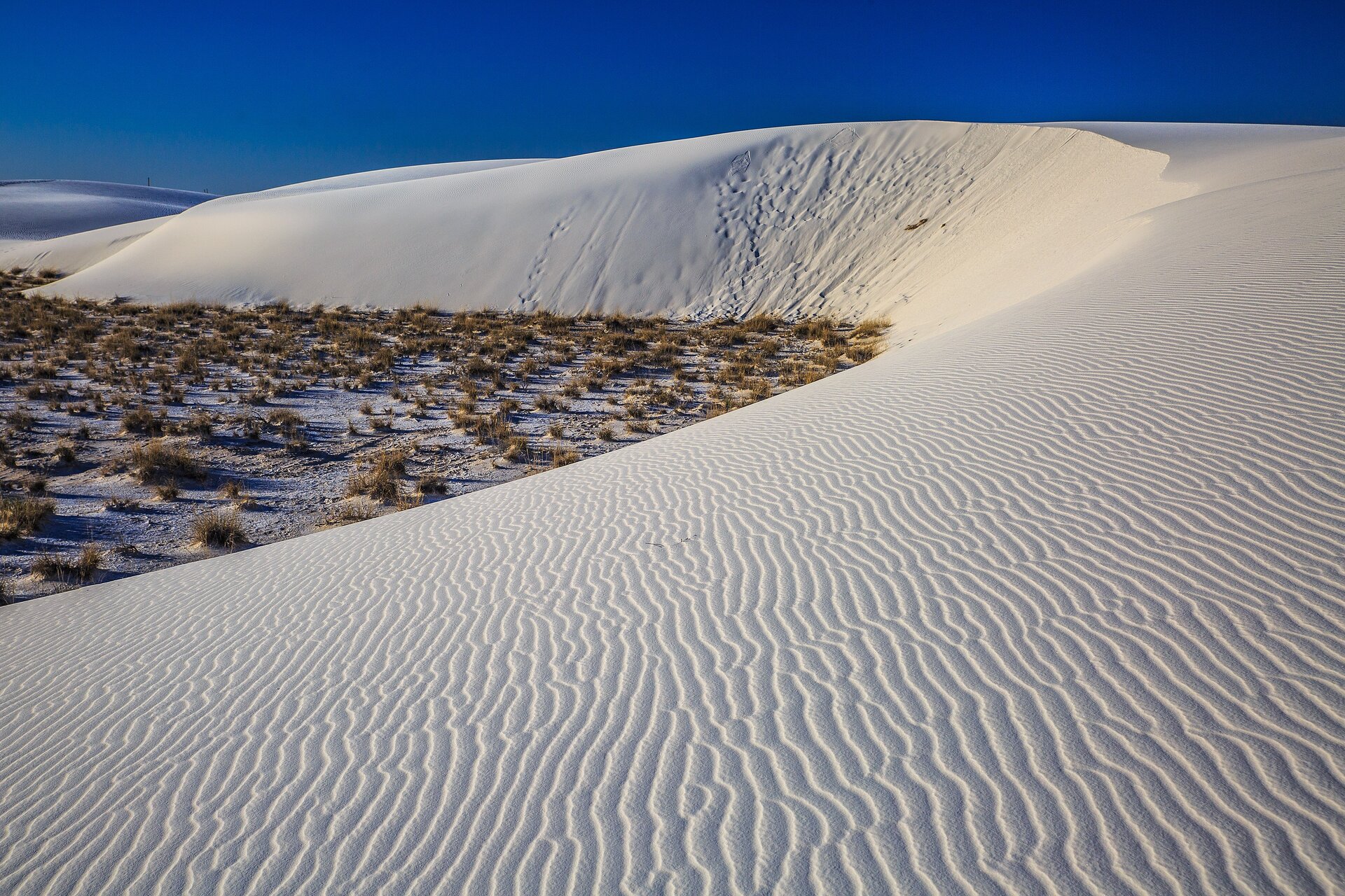 Fotografia przedstawia park narodowy White Sands. Białe, piaszczyste wzgórze ma kształt półksiężyca, na piasku znajdują się wzory utworzone przez wiatr. W zagłębieniu od wzgórzem rosną kępy traw.