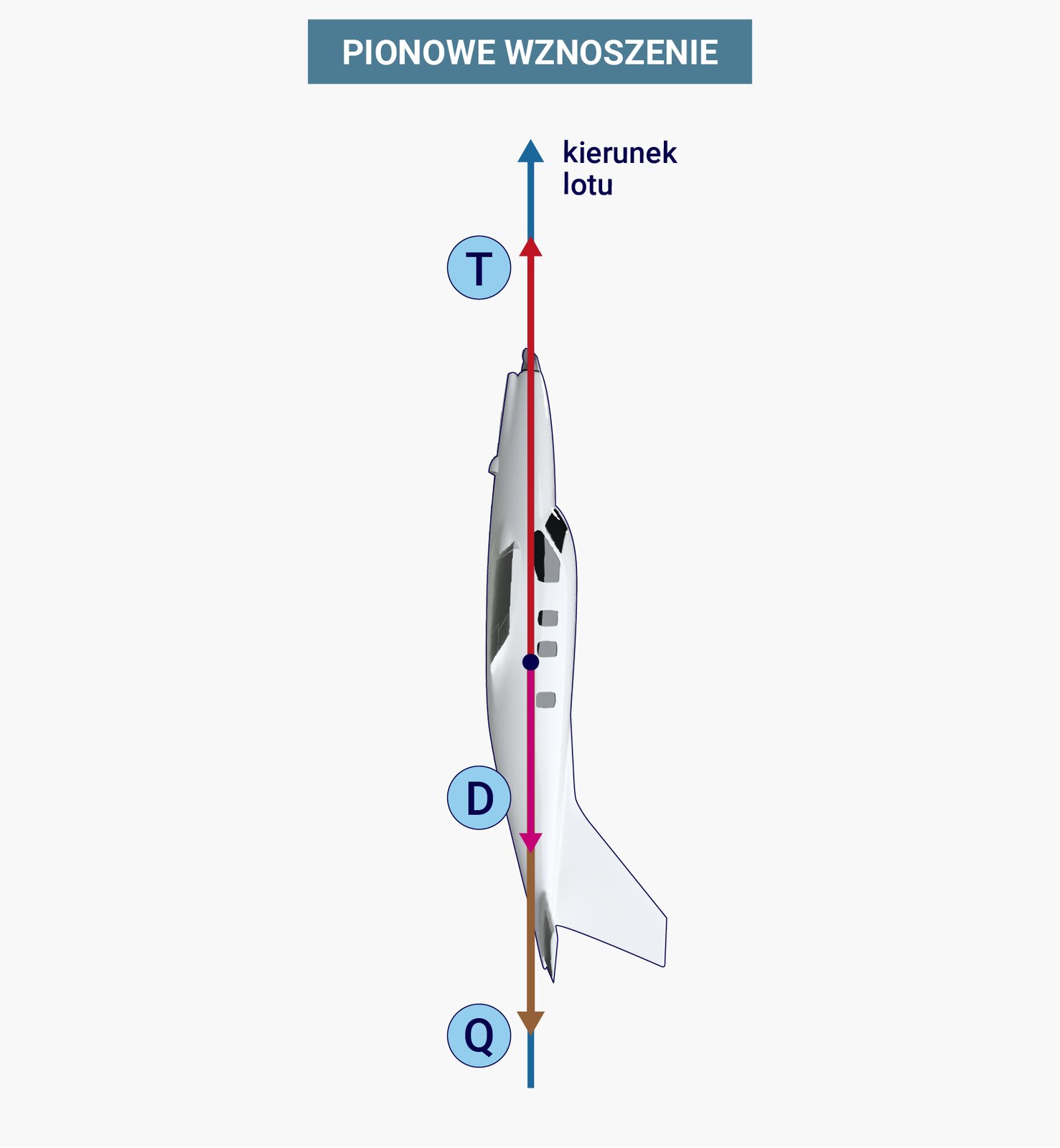 Ilustracja przedstawia pionowe wznoszenie samolotu. Schematycznie ukazano samolot, którego przód znajduje się u góry na rysunku, zaś tył u dołu. W kierunku obserwatora skierowane jest lewe skrzydło. Zaznaczono wektory opisane jako kierunek lotu, co reprezentuje pionowa strzałka skierowana do góry. Dalej reprezentowany przez pionową strzałkę w górę ciąg T, przez pionową strzałkę w dół opór samolotu D oraz ciężar Q również przez strzałkę skierowaną w dół. W tym przypadku opór jest znacznie mniejszy niż ciąg.
