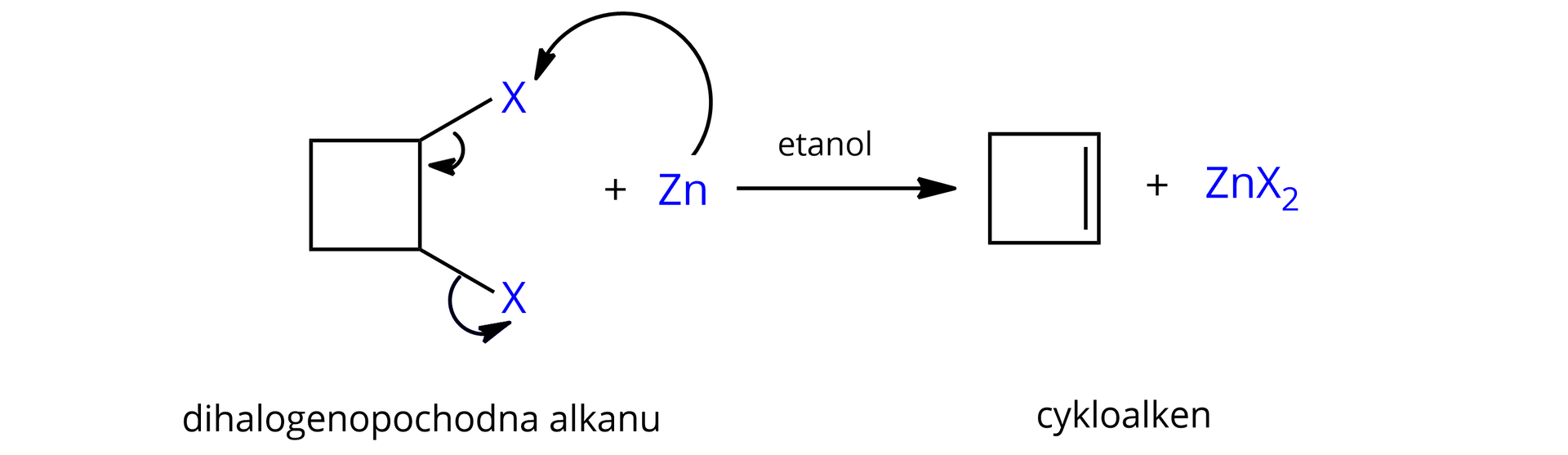 Ilustracja przedstawia reakcję eliminacji atomów fluorowców z cząsteczki 1,2-dihalogenocyklobutanu. Reakcja tego związku z metalicznym cynkiem zachodzi w etanolu i prowadzi do powstania cyklobut-1-enu i halogenku cynku. Cząsteczka 1,2-dihalogenocyklobutanu zbudowana z czterowęglowego pierścienia, symbolizowanego przez kwadrat, w którym dwa sąsiadujące ze sobą atomy węgla podstawione są, każdy jednym atomem X. Dodać atom cynku 