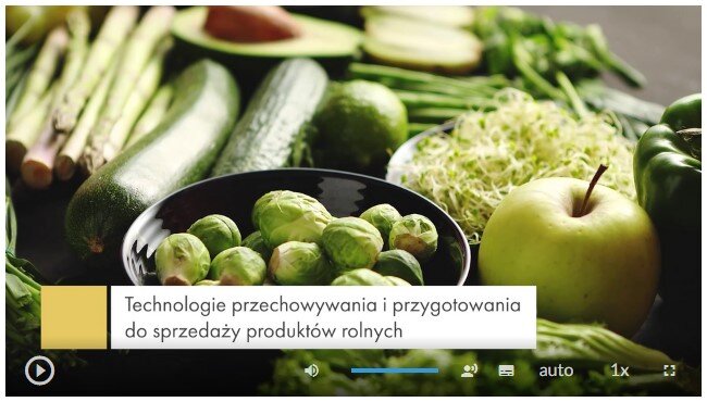 Zdjęcie przedstawia klatkę filmu instruktażowego. Na zdjęciu widocznych jest wiele różnorodnych warzyw i owoców ułożonych na stole. Są to między innymi: brukselka, ogórki, szparagi, awokado, jabłka, papryka, rzeżucha. W dolnej części klatki widoczny jest napis: Technologie przechowywania i przygotowania do sprzedaży produktów rolnych. Na samym dole znajduje się pasek z ikonami. 