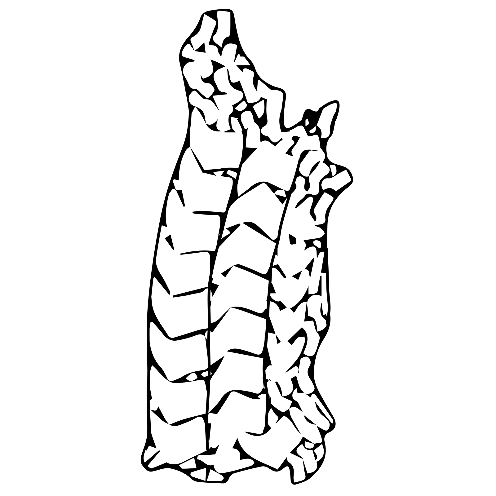 Na rysunku pokazana jest metoda kombinowana rozkroju połówki boksu bydlęcego. Widoczny jest podłużny, nieregularny kształt wypełniony mniejszymi kształtami. Na prawej połówce skóry rozmieszczone są części składowe do obuwia damskiego i męskiego. Od linii grzbietowej widać ułożone obok siebie pionowo obłożyny do botków, a za nimi przyszwy. W częściach bocznej i karkowej ułożone są obok siebie obłożyny do półbutów. W części przyogonowej i na obrzeżach rozmieszczone są drobne elementy pomocnicze.