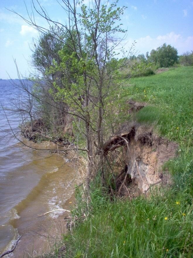 Fotografia przedstawia wysoki brzeg porośnięty trawą.