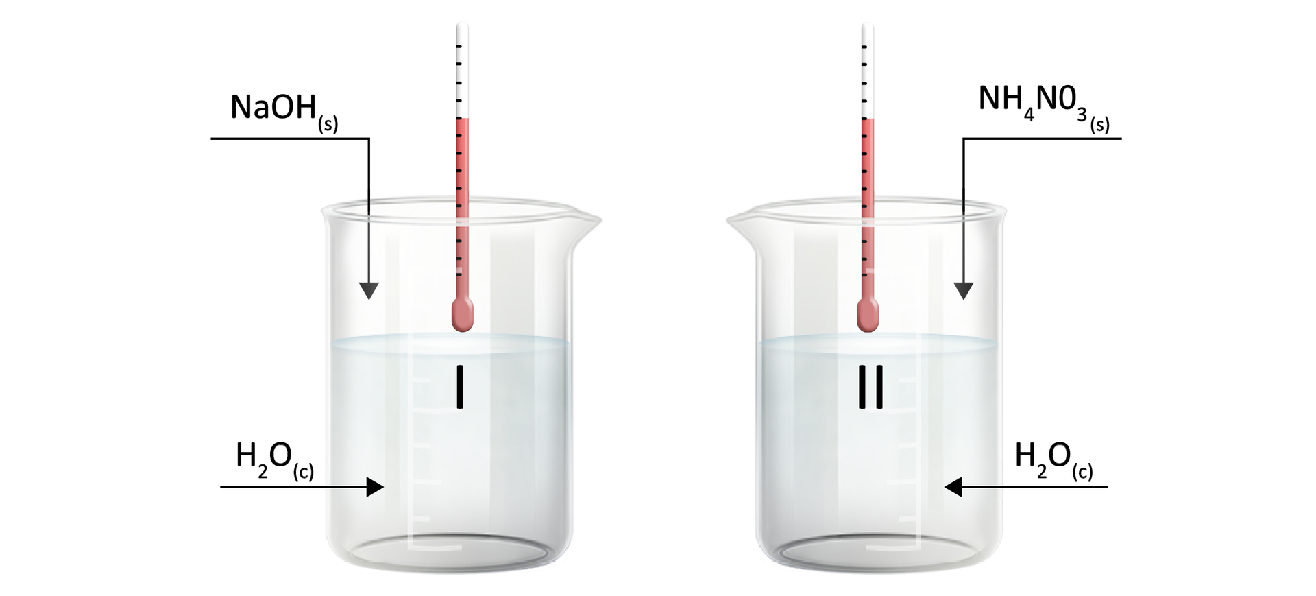 Na ilustracji są dwie zlewki. W każdej z nich jest woda. Do zlewki numer 1 dodano NaOHs. Do zlewki numer dwa: NH4NO3s . W każdej zlewce znajduje się termometr.   
