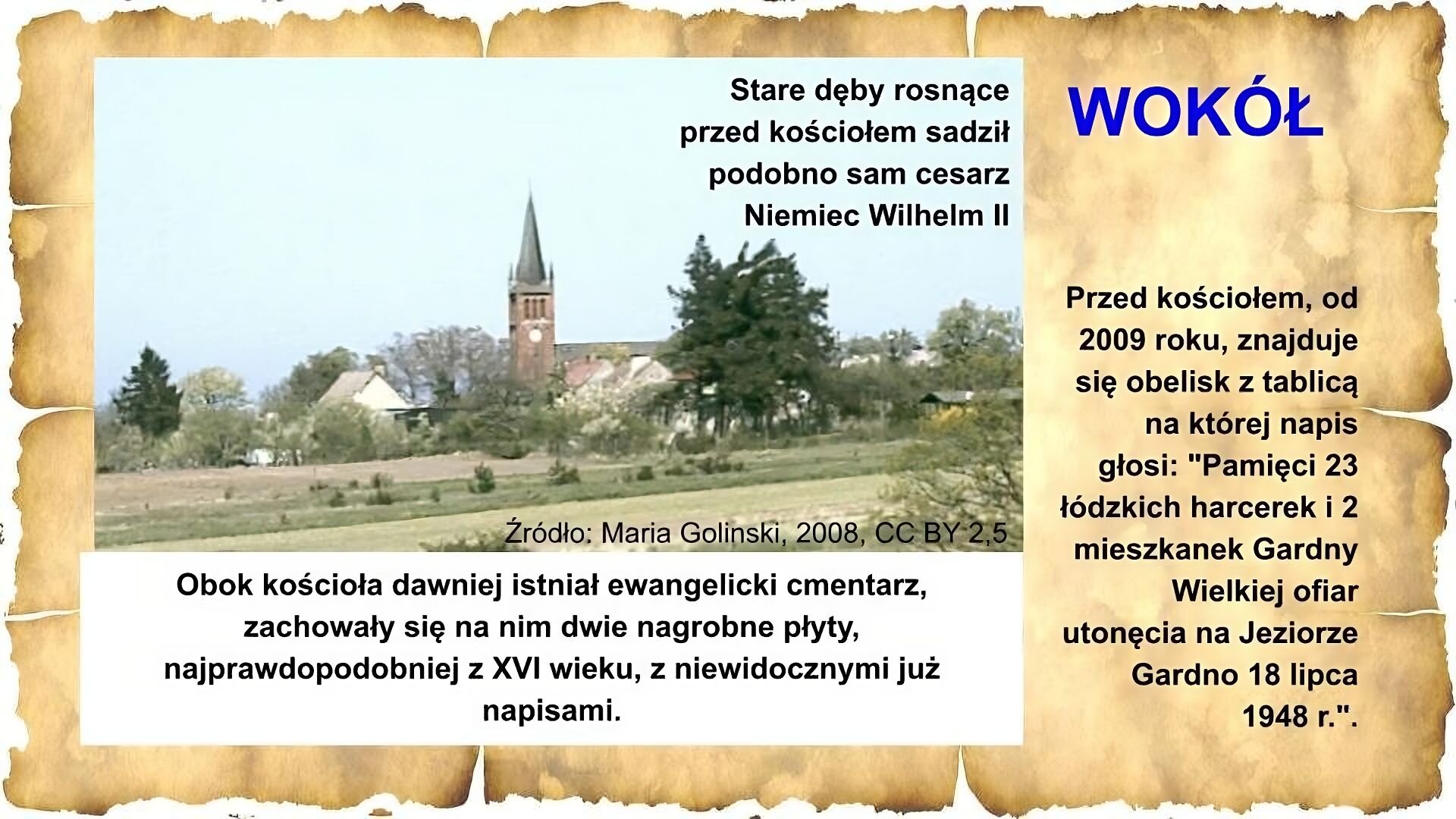 Slajd zawiera napis tytułowy, umieszczony po prawej stornie: Wokół. Poniżej napis: Przed kościołem, od 2009 roku, znajduje się obelisk z tablicą na której napis głosi: „Pamięci 23 łódzkich harcerek i 2 mieszkanek Gardny Wielkiej ofiar utonięcia na Jeziorze Gardno 18 lipca 1948 r.” Zdjęcie na slajdzie przedstawia pole, za nim drzewa i dachy domów, nad którymi góruje wieża kościoła z zegarem. na dole zdjęcia napis: Źródło: Maria Golinski, 2008, CC BY 2,5. Na zdjęciu napis: Stare dęby rosnące przed kościołem sadził podobno sam cesarz Niemiec Wilhelm II. Obok kościoła dawniej istniał ewangelicki cmentarz, zachowały się na nim dwie nagrobne płyty, najprawdopodobniej z XVI wieku, z niewidocznymi już napisami.