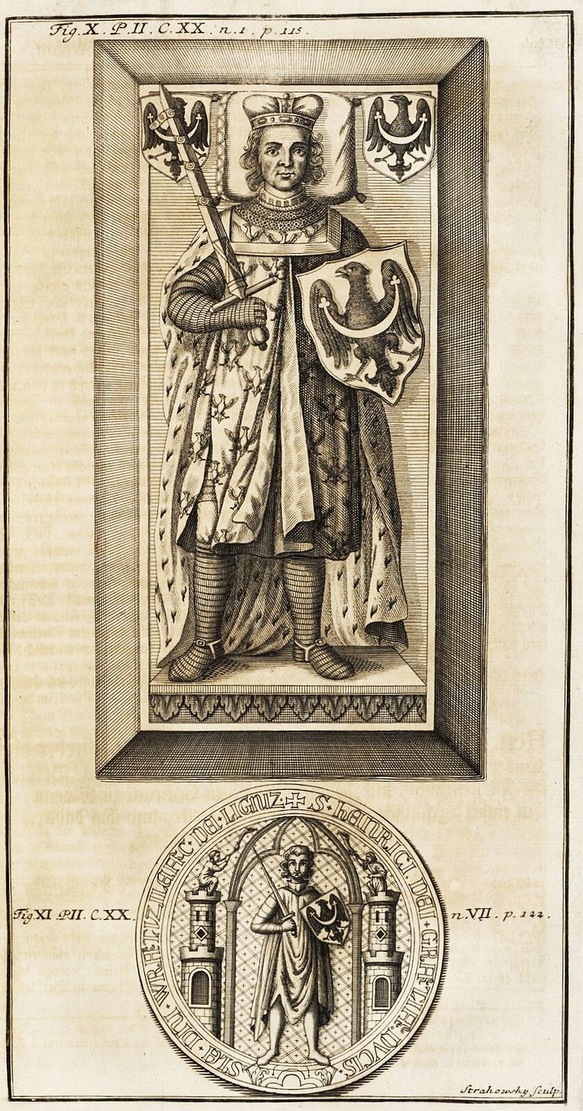 Rycina przedstawia mężczyznę w średnim wieku z półdługimi włosami. Ubrany jest w szaty z małymi orłami i długi płaszcz. Na głowie ma koronę. W lewej ręce trzyma tarczę z czarnym ptakiem, a w prawej miecz. Jego głowa leży na poduszce, a po prawej i lewej stronie znajdują się herby, takie jak na tarczy. Na dolnej części ryciny znajduje się okrągły rysunek przedstawiający tego samego mężczyznę z tarczą i mieczem. Stoi on pod łukiem a po jego obu stronach znajdują się baszty. Na obwodzie koła znajdują się napisy.