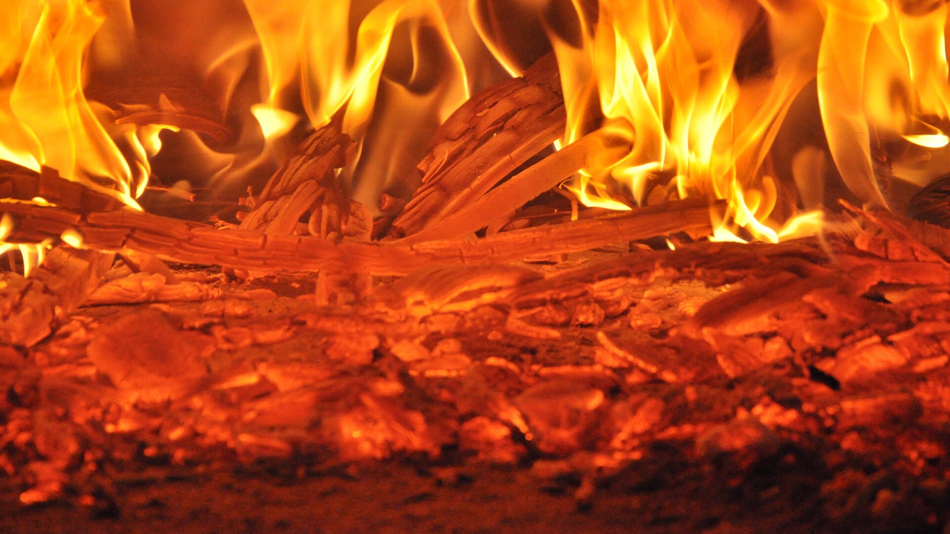 Zdjęcie przedstawia ognisko.