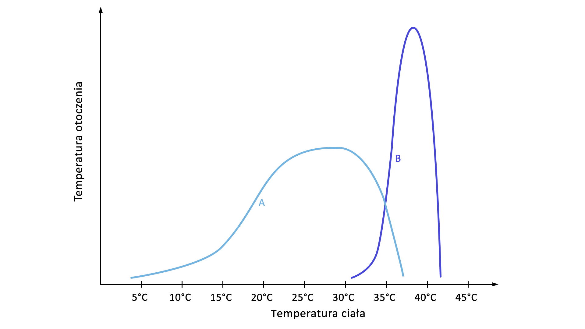 Grafika przedstawia wykres zależności temperatury ciała od temperatury otoczenia dwóch zwierząt. Widoczne są dwie linie na wykresie: A i B. Oś X to temperatura ciała w stopniach Celsjusza, a oś Y to temperatura otoczenia. Linia A zaczyna się przy pięciu stopniach Celsjusza, rośnie delikatnie do piętnastu stopni. Od piętnastu do dwudziestu pięciu gwałtownie wzrasta. Od trzydziestu do trzydziestu siedmiu gwałtownie spada. Linia B zaczyna się przy trzydziestu stopniach Celsjusza, gwałtownie i wysoko rożnie to trzydziestu ośmiu stopni, a po trzydziestu ośmiu stopniach gwałtownie spada do czterdziestu dwóch stopni.