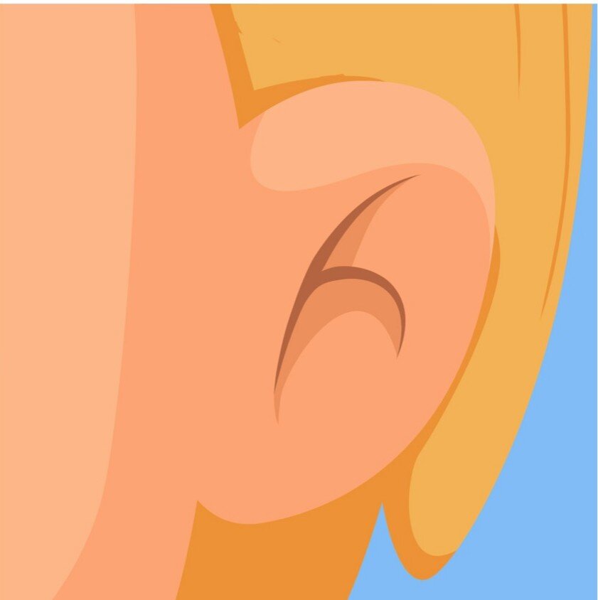 Ilustracja przedstawia ucho.