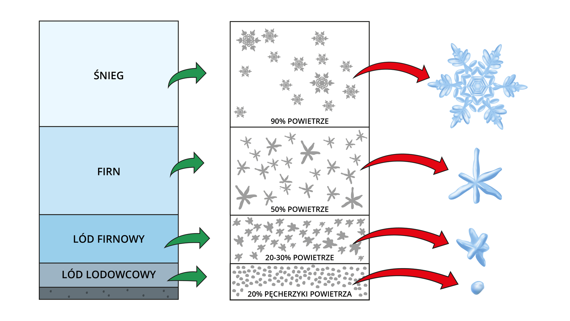 Ilustracja przedstawia powstawanie lodu lodowcowego. Obok napisu: Śnieg jest obrazek charakterystycznych gwiazdek z sześcioma gałązkami. Warstwa świeżego śniegu zawiera dużo powietrza, rzędu 90% swojej objętości. Firm: na obrazku są gwiazdki bez bocznych rozgałęzień z informacją, że warstwa firnu zawiera ilość powietrza, rzędu 50% swojej objętości. Lód firnowy: na ilustracji są kryształki lodu przypominające zniekształcone gwiazdki wypełnione w środkowej części. Warstwa lodu firnowego zawiera ilość powietrza, rzędu 20-30% swojej objętości. Lód lodowcowy: na obrazku są lodowe kulki. Warstwa lodu lodowcowego zawiera ilość powietrza, rzędu 20% swojej objętości.
