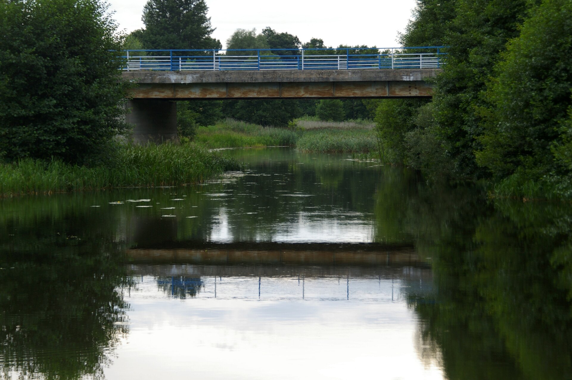 Fotografia przedstawiająca rzekę Rospudę i most nad nią. Na zdjęciu widać most , niewielki, pordzewiały z odnowioną barierką. Dokoła mostu rosną drzewa liściaste mocno zielone. Pod mostem płynie rzeka, której brzegi porastają trzciny.