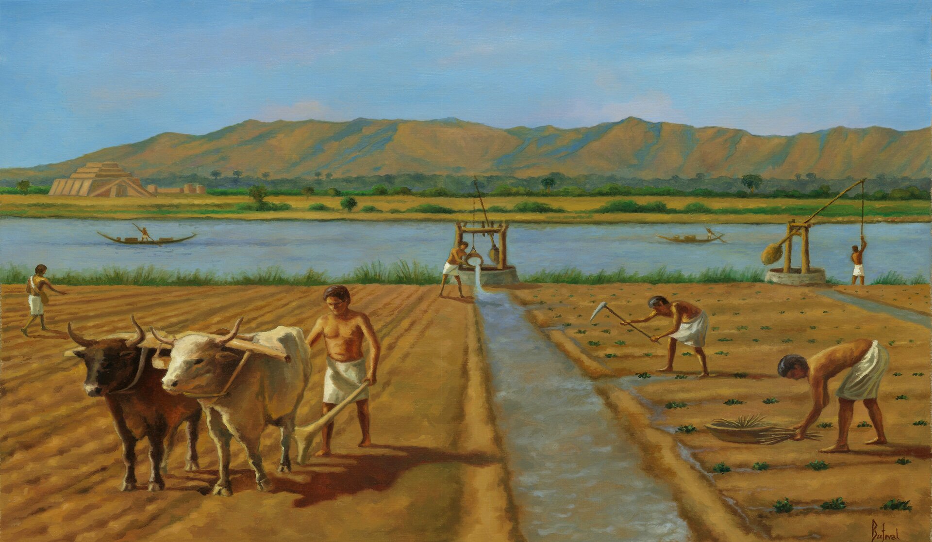 Rysunek przedstawiający rolników uprawiających pole. Jeden z nich orze pole zaprzęgniętymi wołami. Następny sieje ziarno. Inne osoby zbierają rośliny. Pomiędzy działkami pola są kanały irygacyjne, w których jest woda. Przy kanałach stoi studnia z żurawiem służącym do czerpania wody. Przy studni mężczyzna nabiera z niej wodę i wlewa do kanału irygacyjnego. Robi to za pomocą żurawia. Żuraw ma długi drąg, umocowany pośrodku na rozwidlonym słupie. Jeden jego koniec był obciążony kamieniami, a drugi zwieszał się wprost nad studnią. Do tego końca było przymocowane jest wiadro. Drąg działa jak dźwignia i pozwalał spuszczać wiadro na tyczce w głąb studni, a potem łatwo wyciągać je do góry. W oddali widać rzekę a za nią ziggurat, dalej są góry.