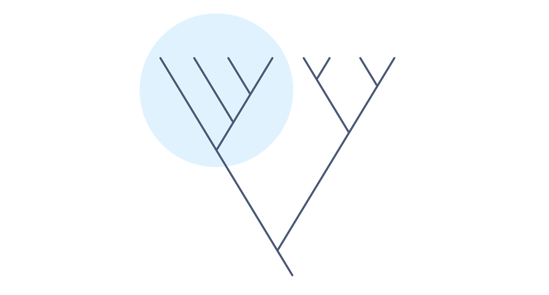 Ilustracja ilustruje takson monofiletyczny. Na drzewie filogenetycznym po lewej stronie w końcowym rozgałęzieniu na cztery linie zaznaczono cały ich obszar. To grupa obejmująca wszystkich potomków ostatniego wspólnego przodka.