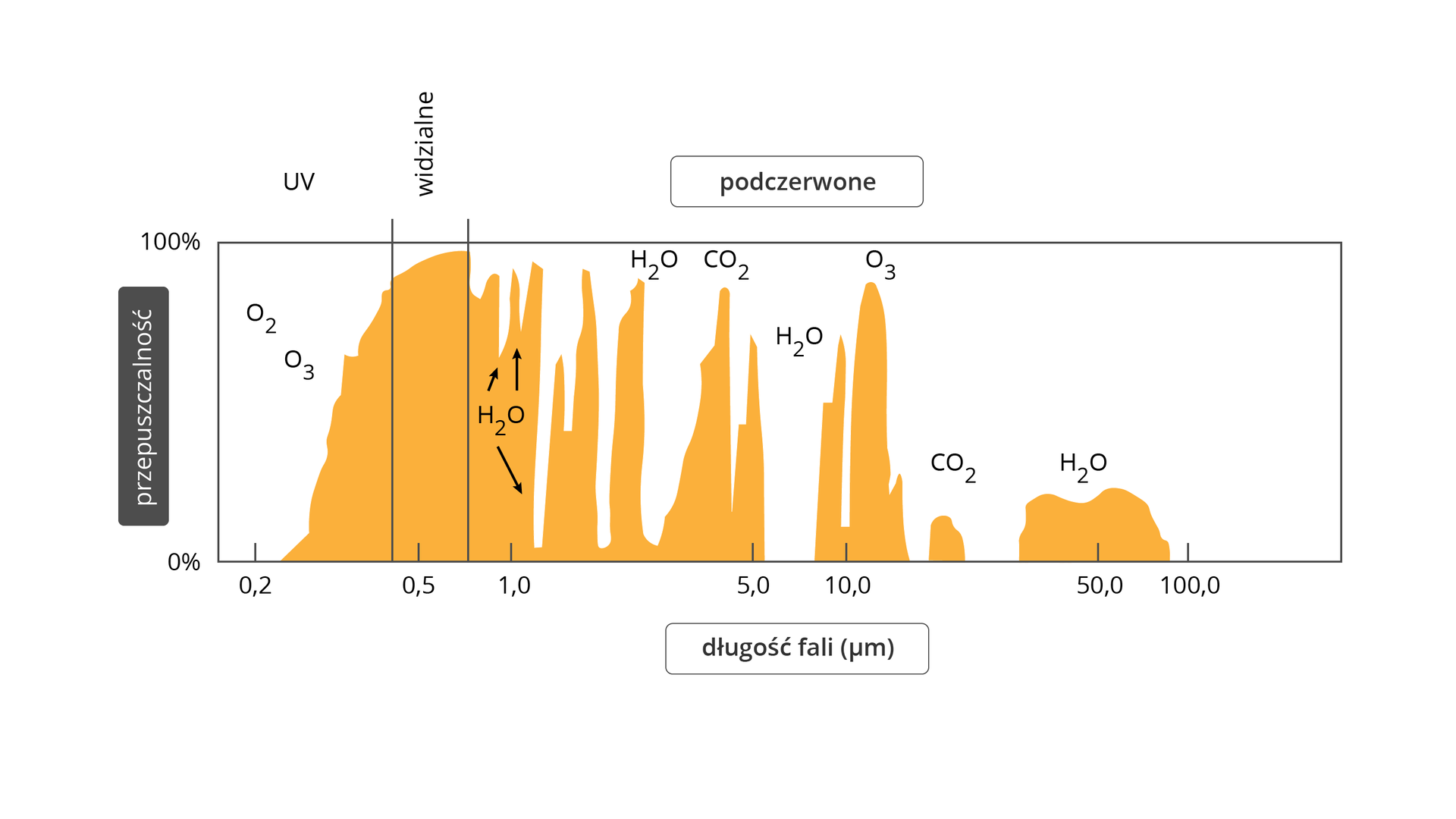 Wybierz jedno zagadnienie opisane w lekcji. Poszerz swoją wiedzę na jego temat, szukając dodatkowych informacji w dostępnych ci źródłach (np. w internecie, encyklopedii lub specjalistycznych publikacjach).
