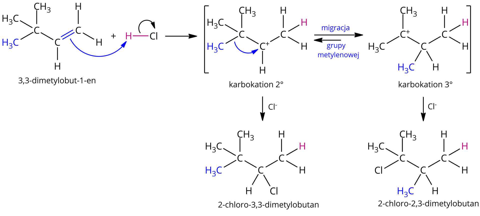 Schemat mechanizmu reakcji 3,3‑dimetylobut‑1-enu z chlorowodorem HCl. Cząsteczka 3,3‑dimetylobut‑1-enu o strukturze, dwa węgle połączone wiązaniem podwójnym, od pierwszego odchodzą dwa wiązania łączące go z atomami wodoru, od drugiego jeden atom wodoru oraz atom węgla połączony z trzema grupami CH3, dodać cząsteczka chlorowodoru H wiązanie Cl. Symbolizująca atak pary elektronowej, czyli ruch elektronów, łukowata strzałka poprowadzona od wiązania podwójnego do atomu wodoru w cząsteczce chlorowodoru, z jednoczesnym zerwaniem wiązania pomiędzy atomem wodoru i chloru, co symbolizuje łukowata strzałka poprowadzona od wspólnej pary elektronowej atomu wodoru i chloru do atomu chloru, odejście anionu chlorkowego. Strzałka. W nawiasach kwadratowych, symbolizujących stan przejściowy, struktury dwóch karbokationów. Pierwszy z nich, karbokation drugorzędowy, o strukturze grupa CH3 połączona z grupą CH o cząstkowym ładunku dodatnim, oznaczonym plusem, która to połączona jest z węglem C zawiązanym z trzema grupami CH3. Od pary elektronowej łączącej jedną z trzech grup CH3 z atomem węgla poprowadzona jest łukowata strzałka do centrum karbokationu, co symbolizuje migrację grupy alkilowej do grupy CH z cząstkowym ładunkiem dodatnim. Dłuższa strzałka w prawo, krótsza w lewo, co symbolizuje przesunięcie równowagi na korzyść drugiego, nowoutworzonego karbokationu trzeciorzędowego, o strukturze grupa CH3 związana z grupą CH, która to łączy się z grupą CH3 oraz węglem obdarzonym cząstkowym ładunkiem dodatnim i związanym z dwiema grupami CH3. Strzałka od pierwszego, drugorzędowego karbokationu, nad nią anion chlorkowy, Cl minus. Powstaje 2‑chloro‑3,3‑dimetylobutan o strukturze grupa CH3 połączona z grupą CH, która to połączona jest z atomem chloru oraz atomem węgla C związanym z trzema grupami CH3. Strzałka od drugiego trzeciorzędowego karbokationu, nad nią anion chlorkowy, Cl minus. Powstaje 2‑chloro‑2,3‑dimetylobutan o strukturze grupa CH3 połączona z grupą CH, która to połączona jest z grupą CH3  oraz atomem węgla, od którego odchodzą dwie grupy CH3 oraz atom chloru.